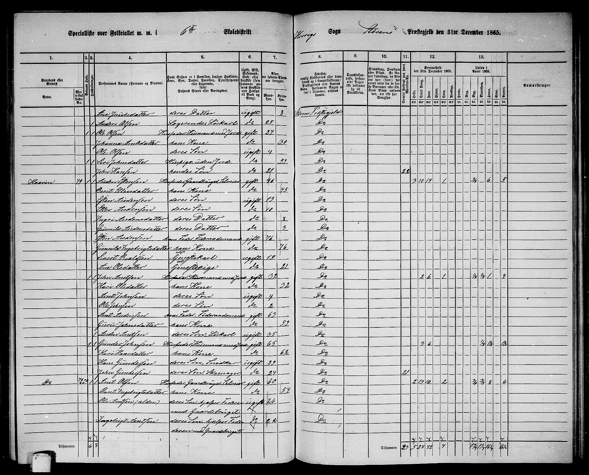 RA, 1865 census for Støren, 1865, p. 205