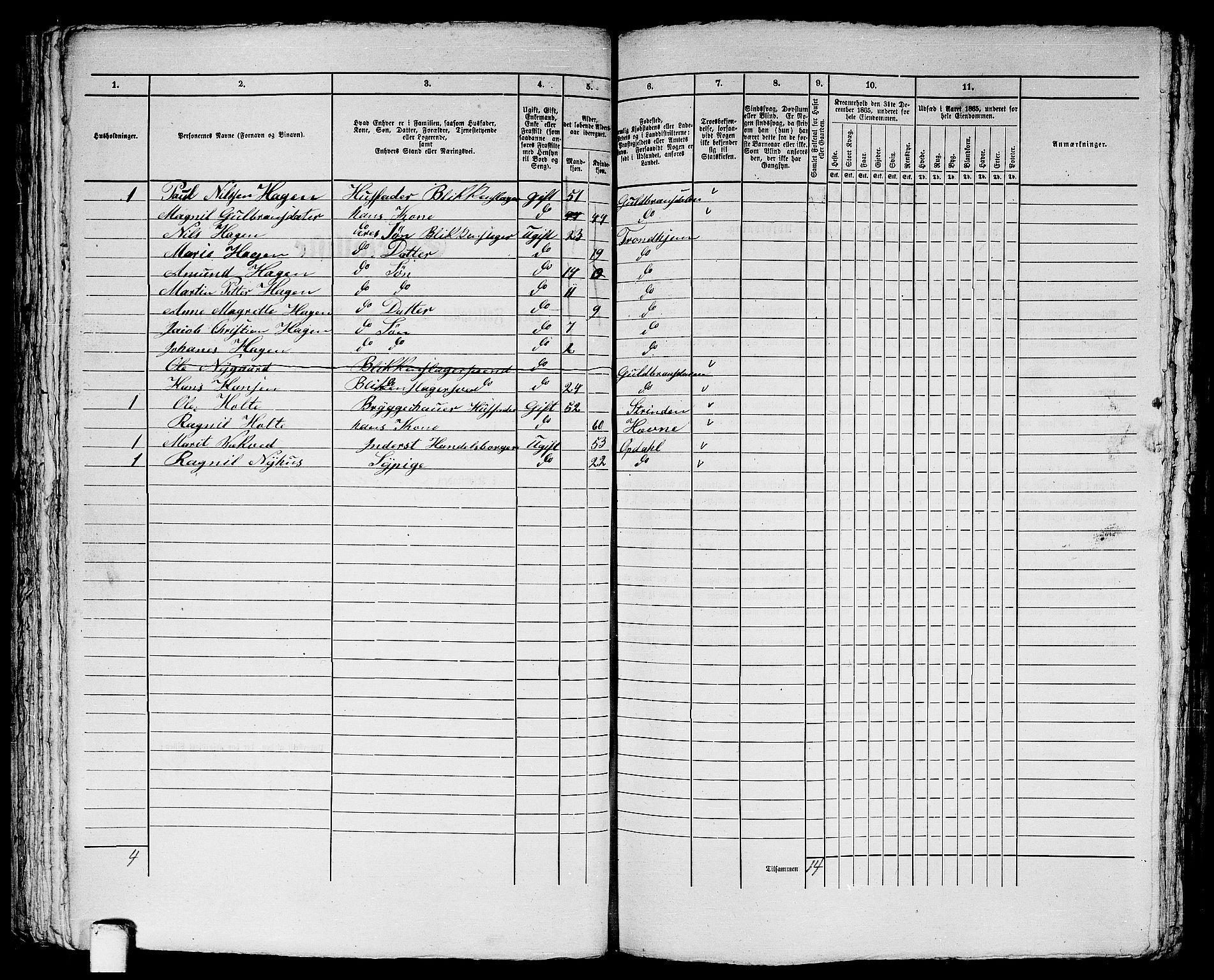 RA, 1865 census for Trondheim, 1865, p. 1697