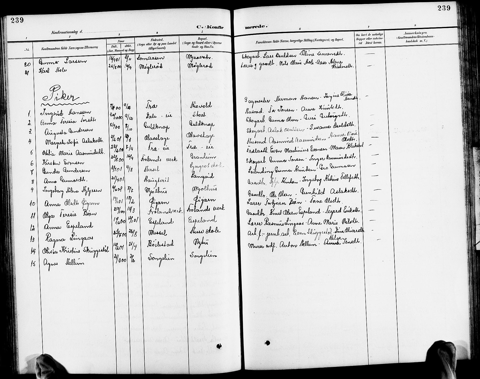 Froland sokneprestkontor, SAK/1111-0013/F/Fb/L0010: Parish register (copy) no. B 10, 1893-1920, p. 239