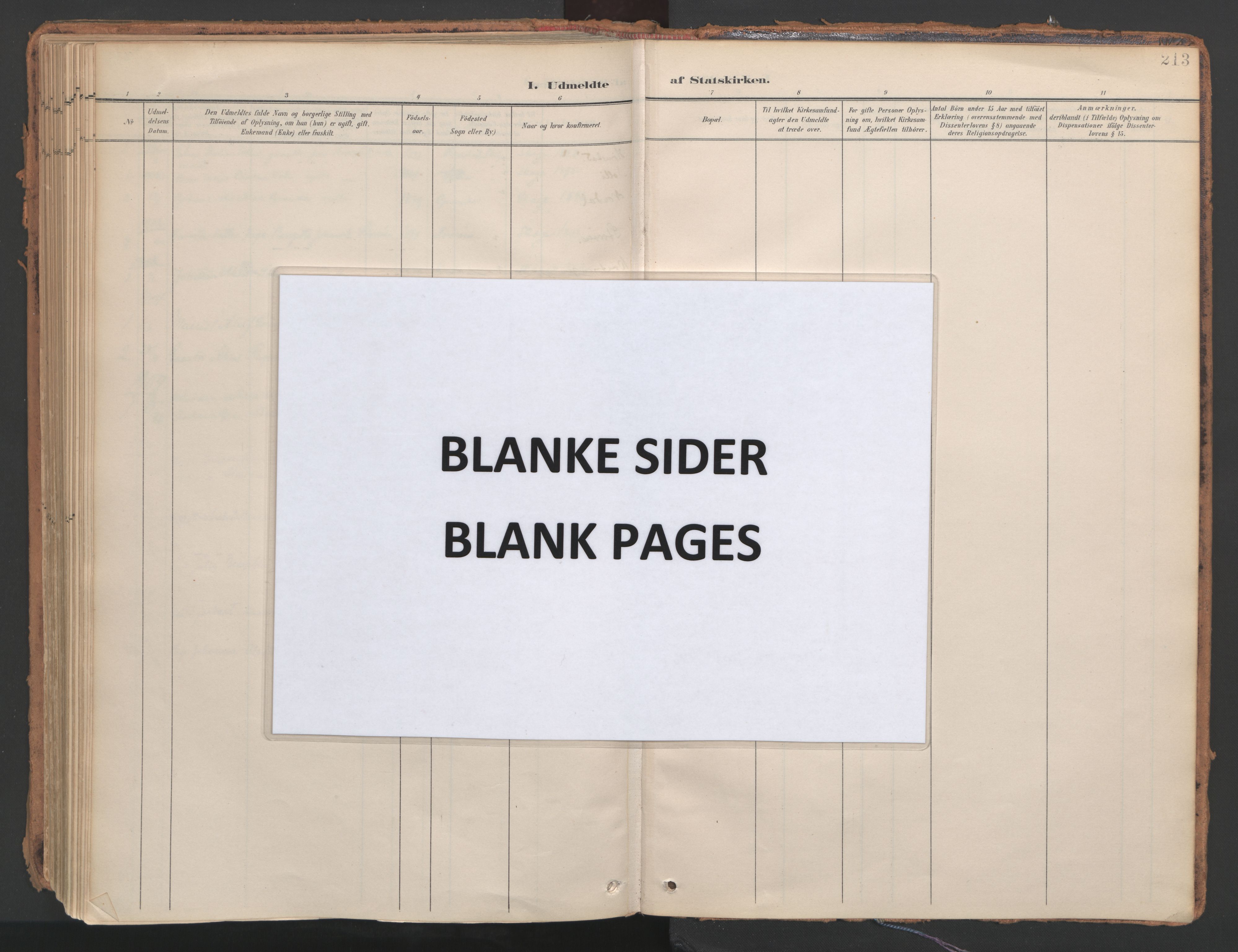 Ministerialprotokoller, klokkerbøker og fødselsregistre - Nord-Trøndelag, AV/SAT-A-1458/766/L0564: Parish register (official) no. 767A02, 1900-1932, p. 213