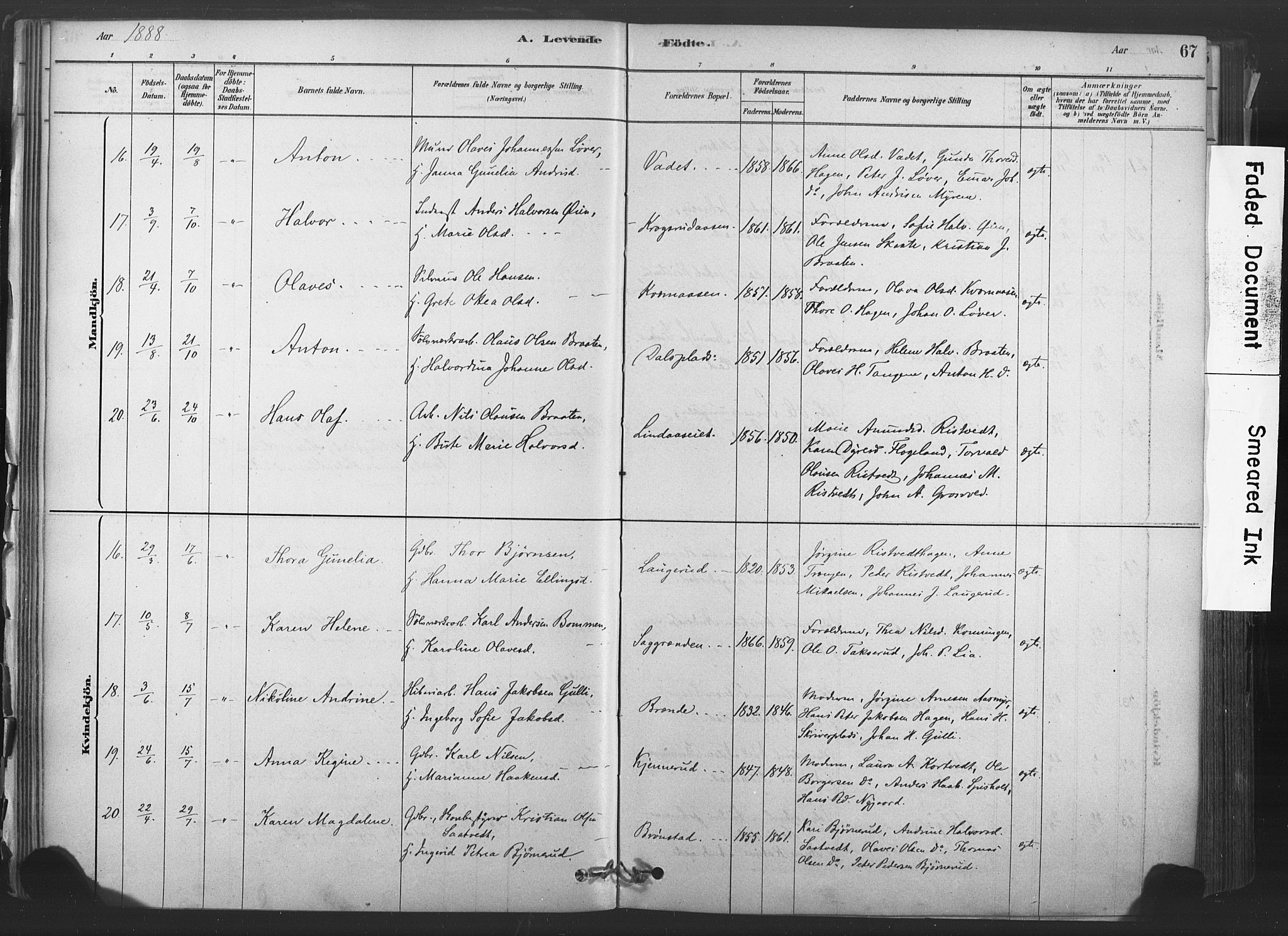 Sandsvær kirkebøker, AV/SAKO-A-244/F/Fd/L0001: Parish register (official) no. IV 1, 1878-1906, p. 67