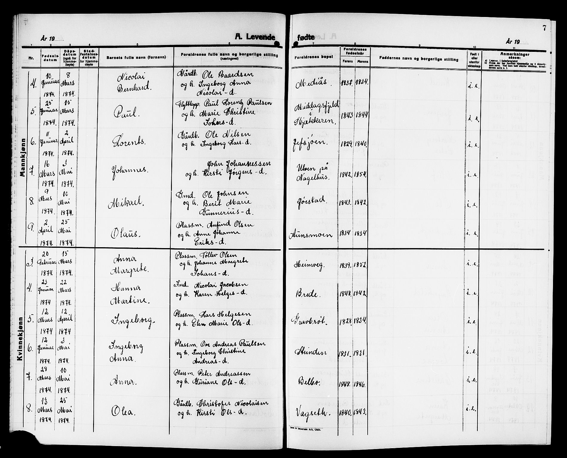 Ministerialprotokoller, klokkerbøker og fødselsregistre - Nord-Trøndelag, AV/SAT-A-1458/749/L0486: Parish register (official) no. 749D02, 1873-1887, p. 7