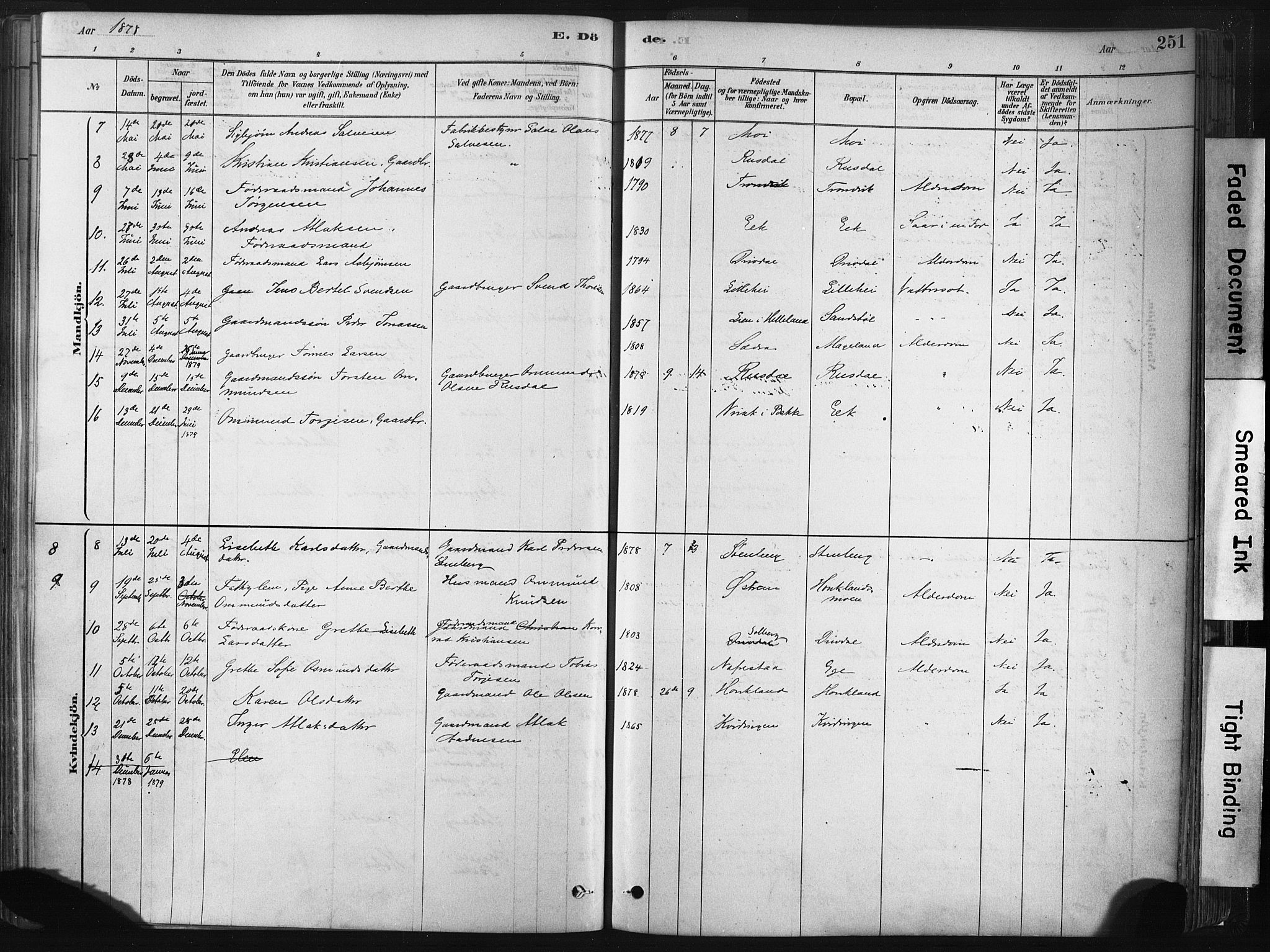 Lund sokneprestkontor, SAST/A-101809/S06/L0011: Parish register (official) no. A 10, 1877-1904, p. 251