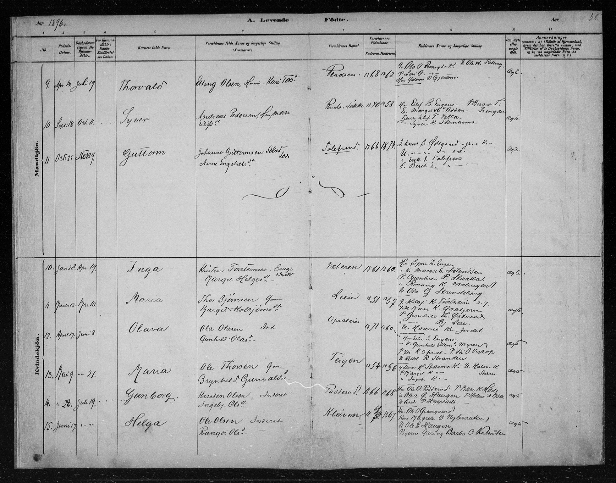 Nes kirkebøker, AV/SAKO-A-236/F/Fa/L0012: Parish register (official) no. 12, 1881-1917, p. 58