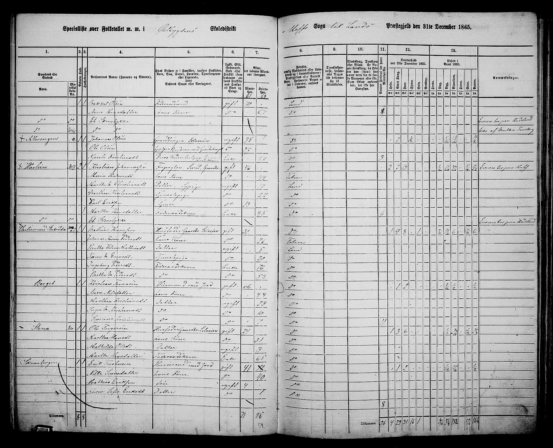 RA, 1865 census for Land, 1865, p. 347