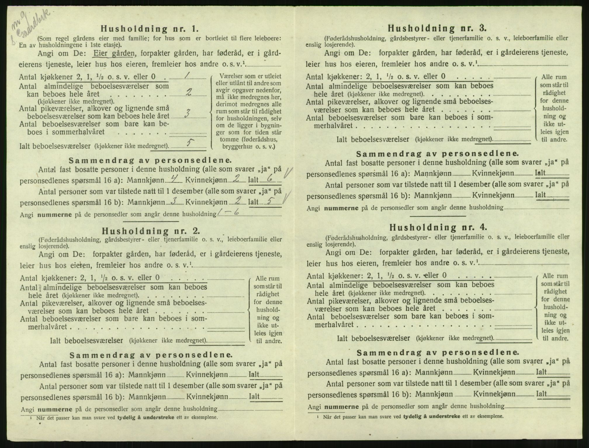 SAT, 1920 census for Straumsnes, 1920, p. 110