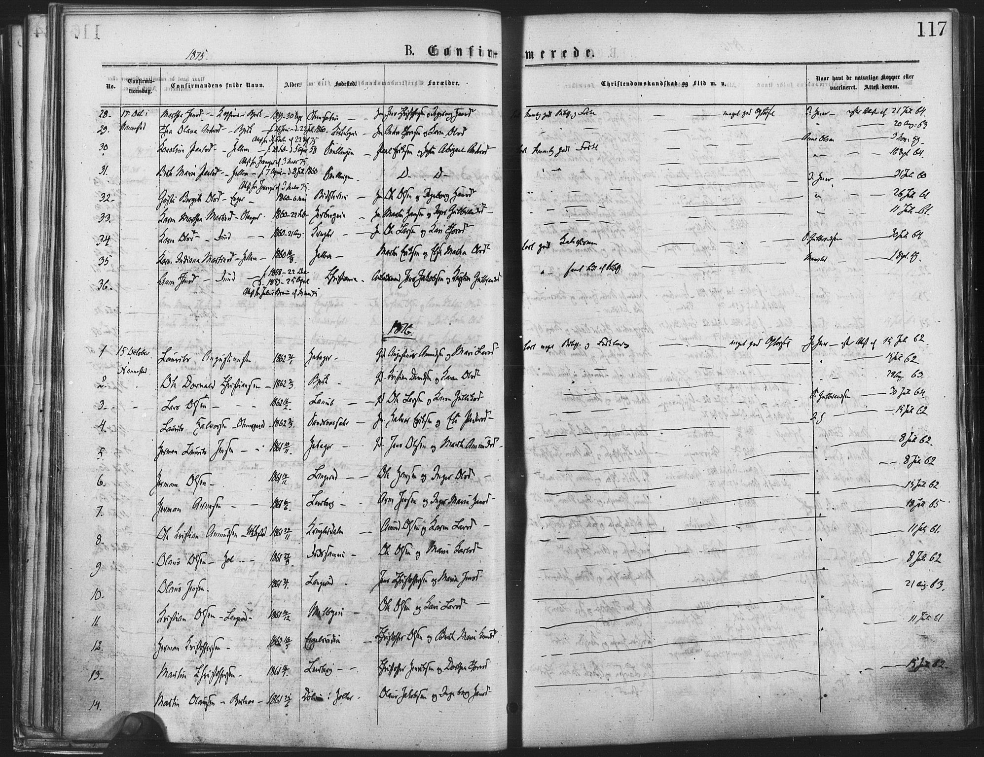 Nannestad prestekontor Kirkebøker, SAO/A-10414a/F/Fa/L0013: Parish register (official) no. I 13, 1873-1880, p. 117