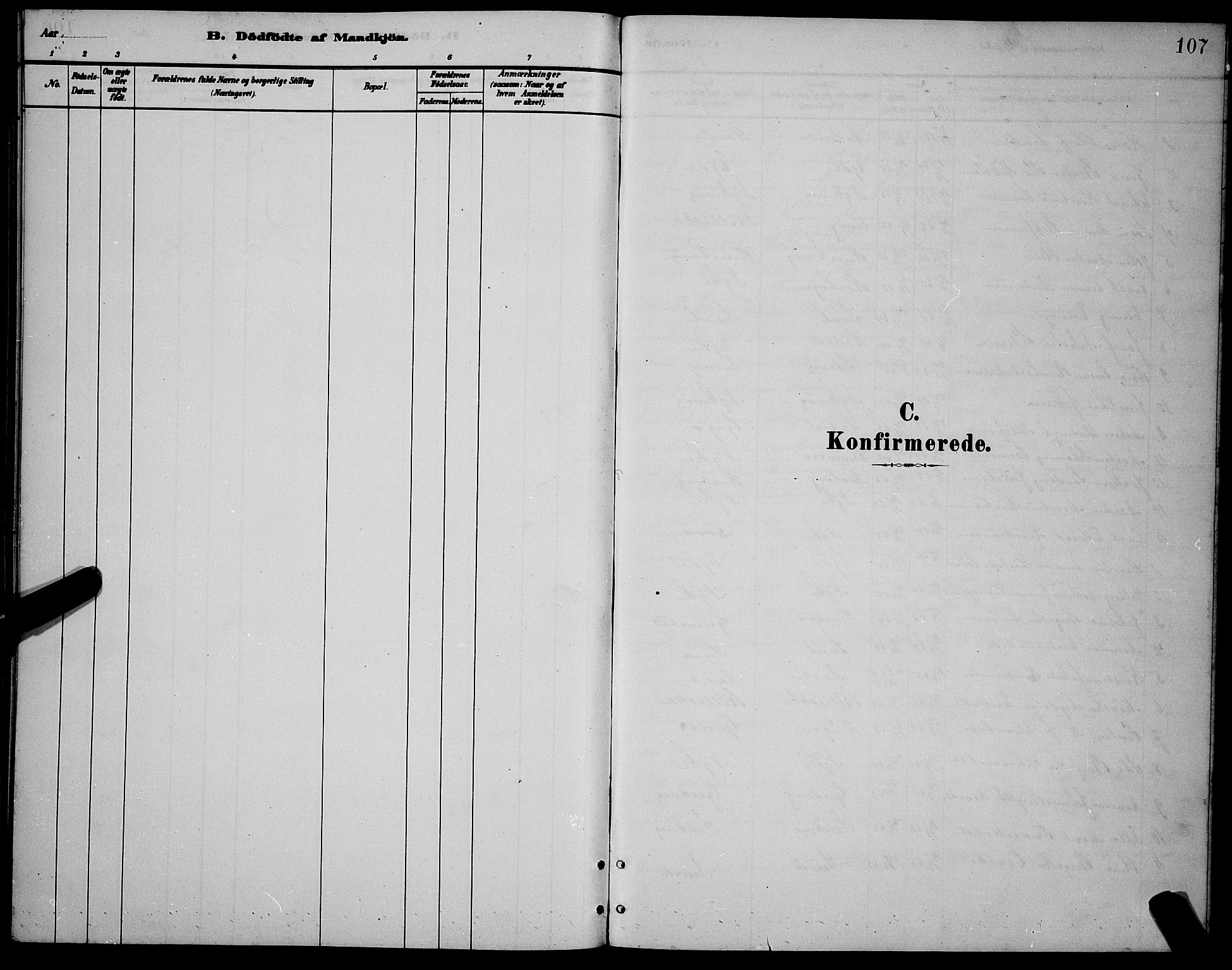 Ministerialprotokoller, klokkerbøker og fødselsregistre - Nordland, SAT/A-1459/892/L1325: Parish register (copy) no. 892C02, 1878-1896, p. 107