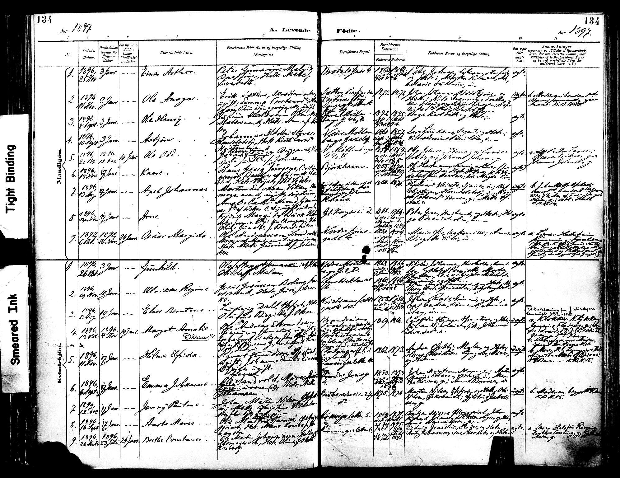 Ministerialprotokoller, klokkerbøker og fødselsregistre - Sør-Trøndelag, SAT/A-1456/604/L0197: Parish register (official) no. 604A18, 1893-1900, p. 134