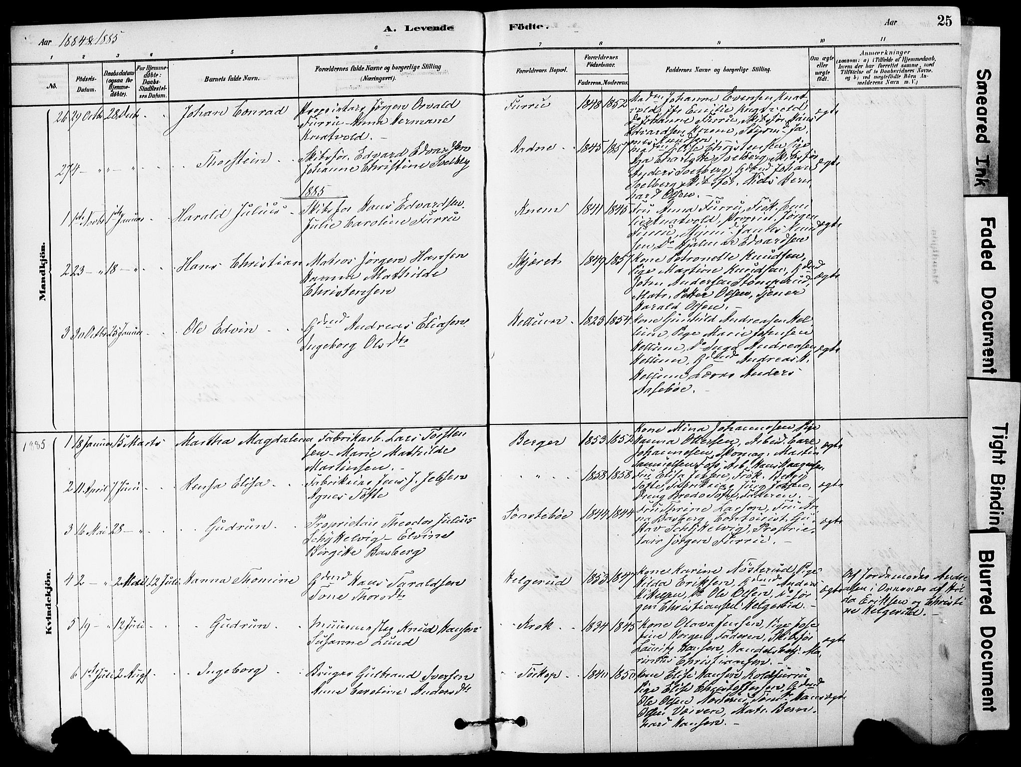 Strømm kirkebøker, AV/SAKO-A-322/F/Fa/L0004: Parish register (official) no. I 4, 1878-1899, p. 25