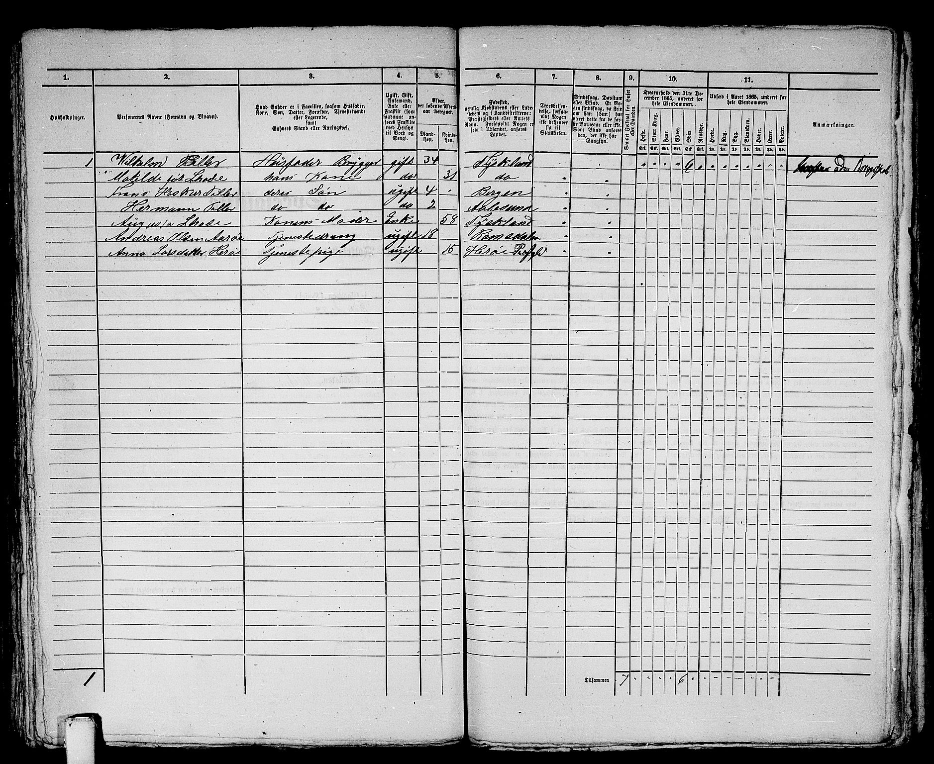 RA, 1865 census for Ålesund, 1865, p. 466