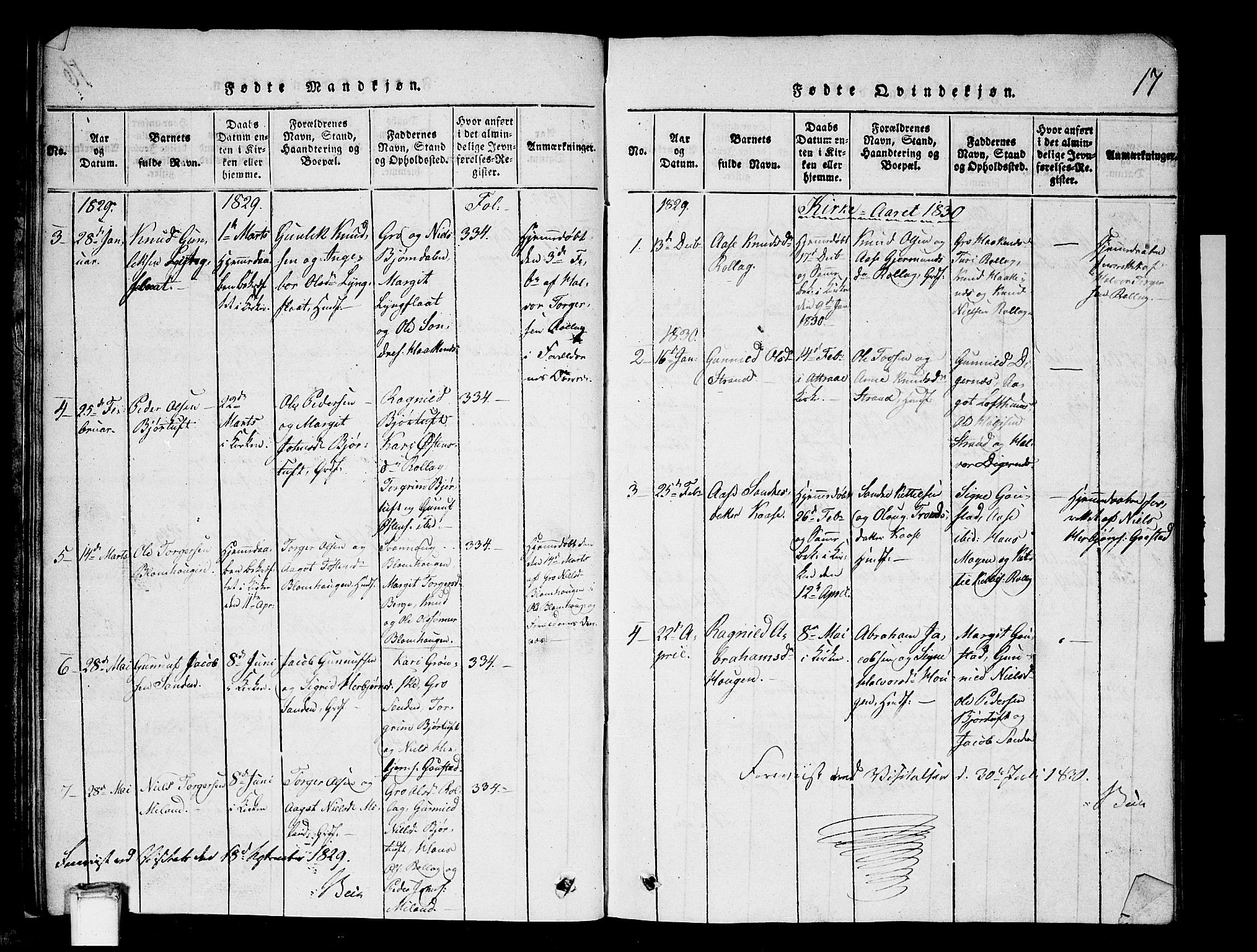 Tinn kirkebøker, SAKO/A-308/G/Gb/L0001: Parish register (copy) no. II 1 /1, 1815-1850, p. 17