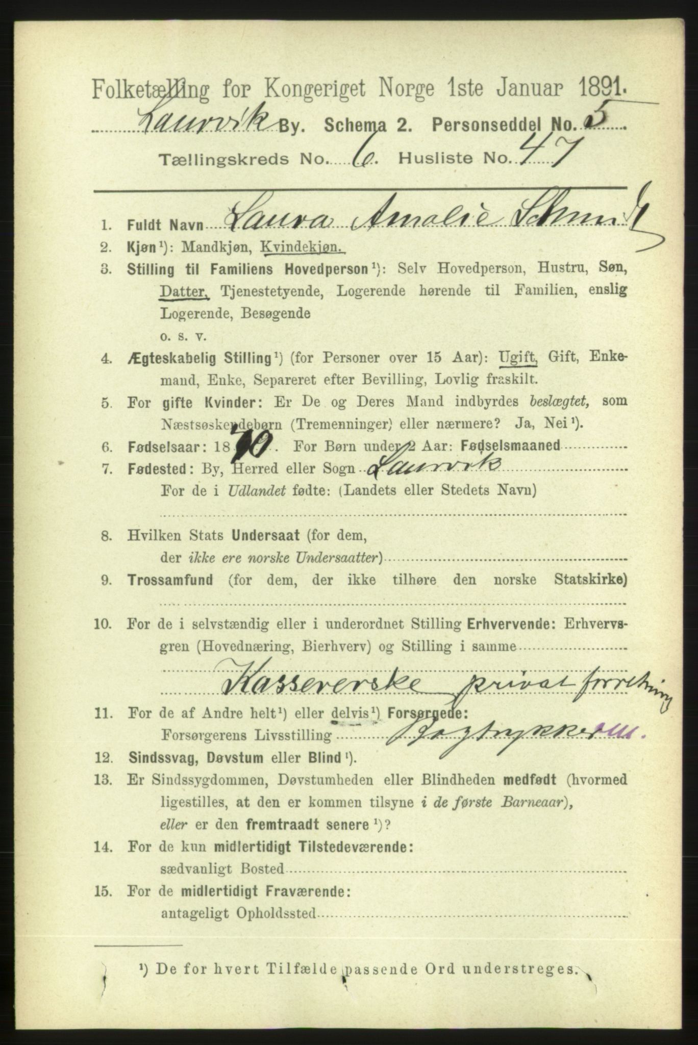 RA, 1891 census for 0707 Larvik, 1891, p. 7136