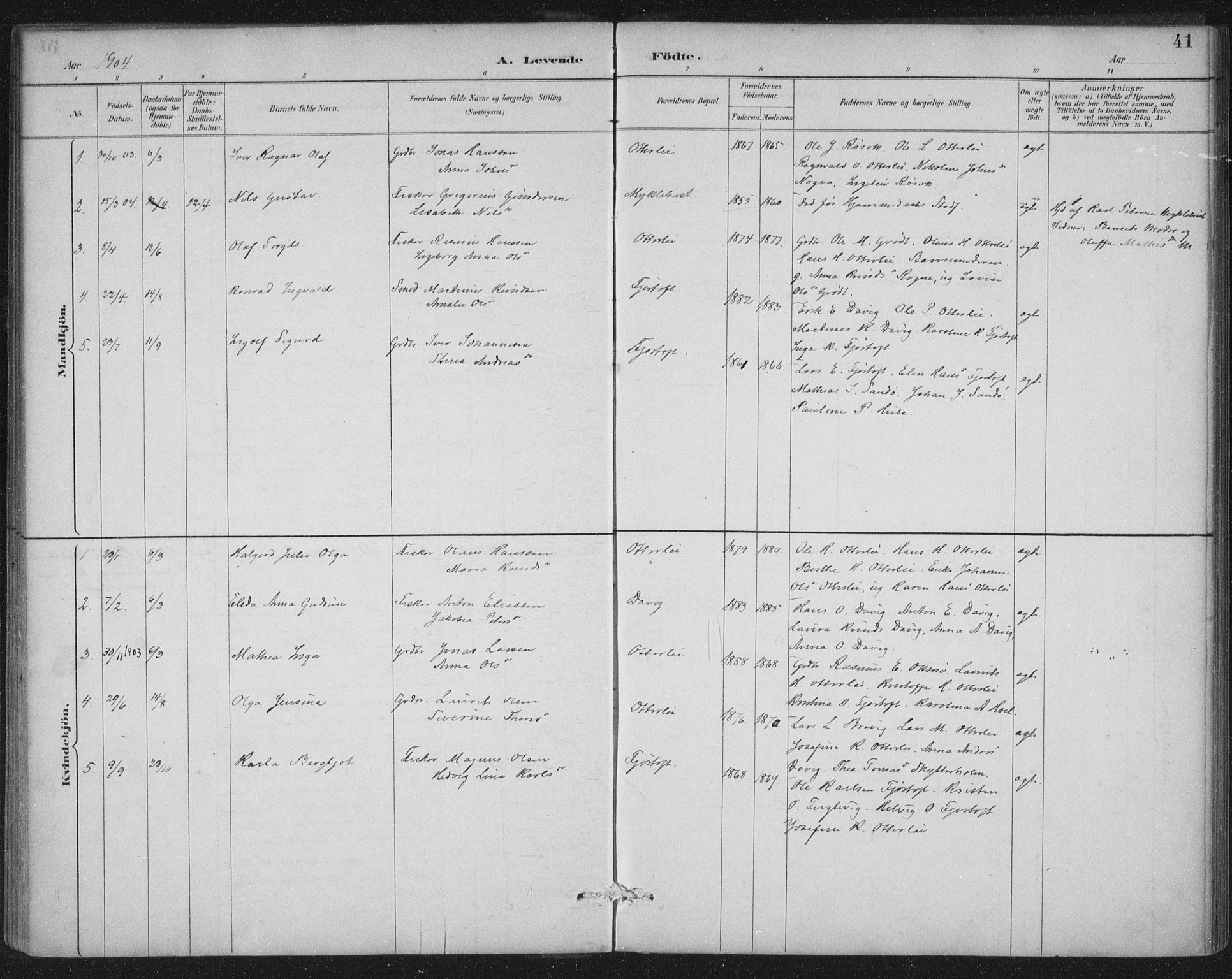 Ministerialprotokoller, klokkerbøker og fødselsregistre - Møre og Romsdal, AV/SAT-A-1454/538/L0522: Parish register (official) no. 538A01, 1884-1913, p. 41