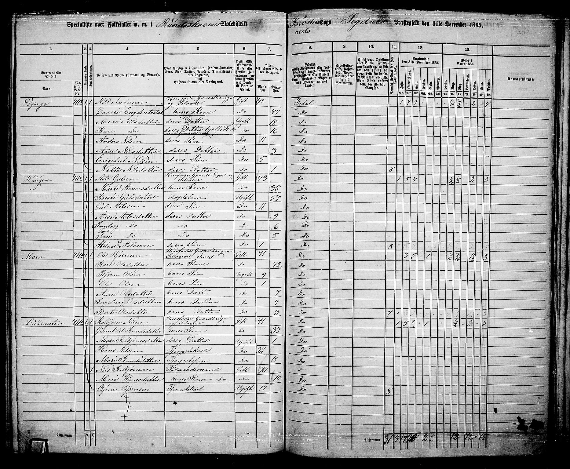 RA, 1865 census for Sigdal, 1865, p. 248