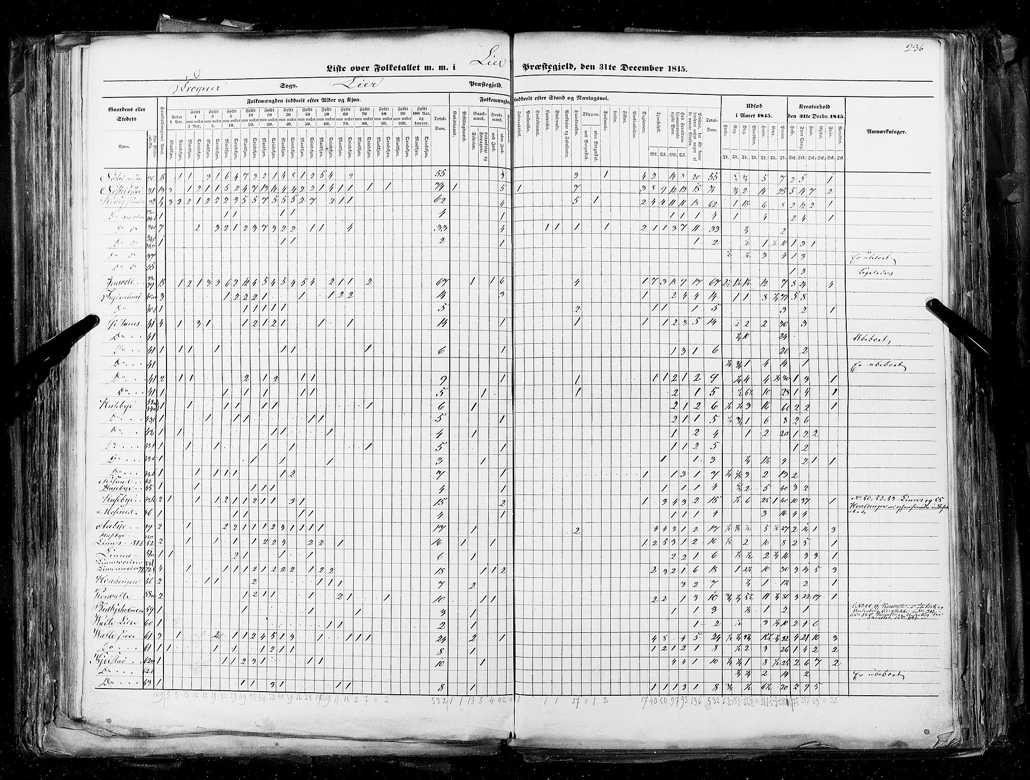 RA, Census 1845, vol. 4: Buskerud amt og Jarlsberg og Larvik amt, 1845, p. 236