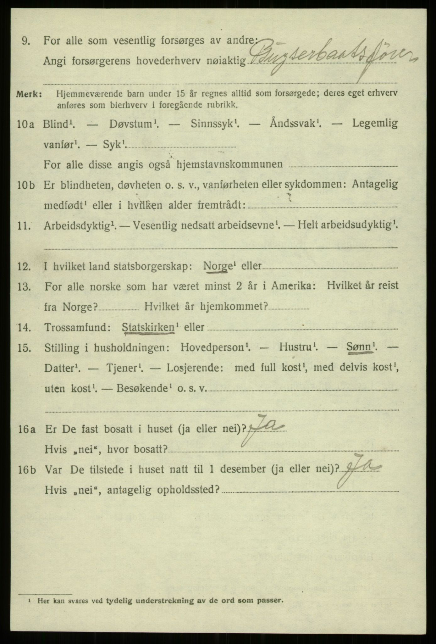 SAB, 1920 census for Bergen, 1920, p. 206519