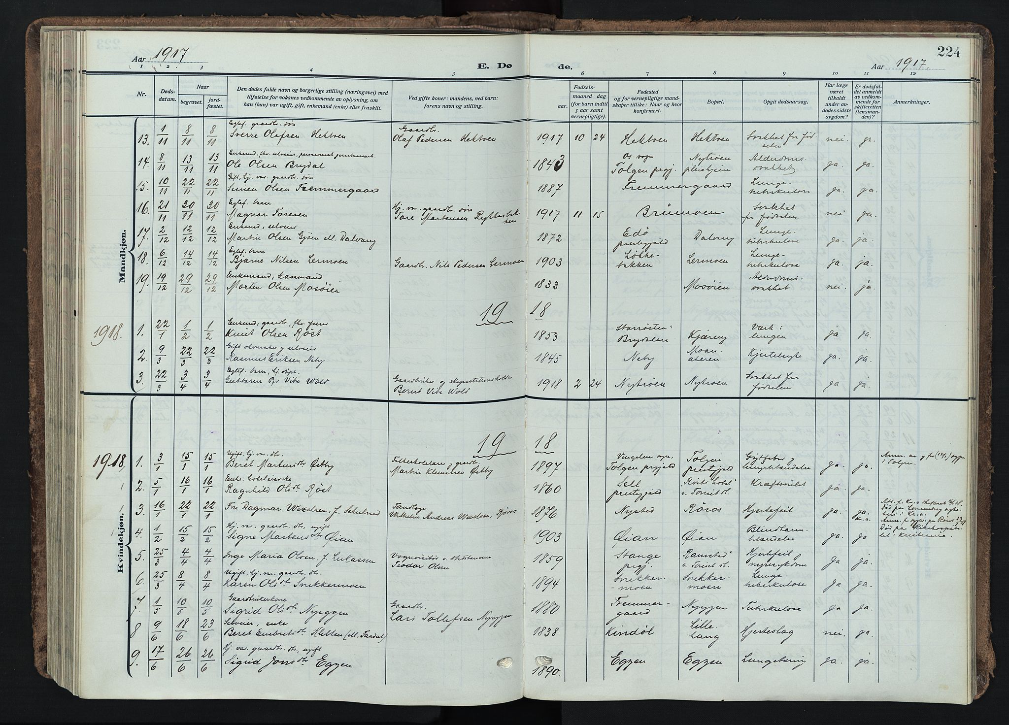 Tynset prestekontor, AV/SAH-PREST-058/H/Ha/Haa/L0026: Parish register (official) no. 26, 1915-1929, p. 224