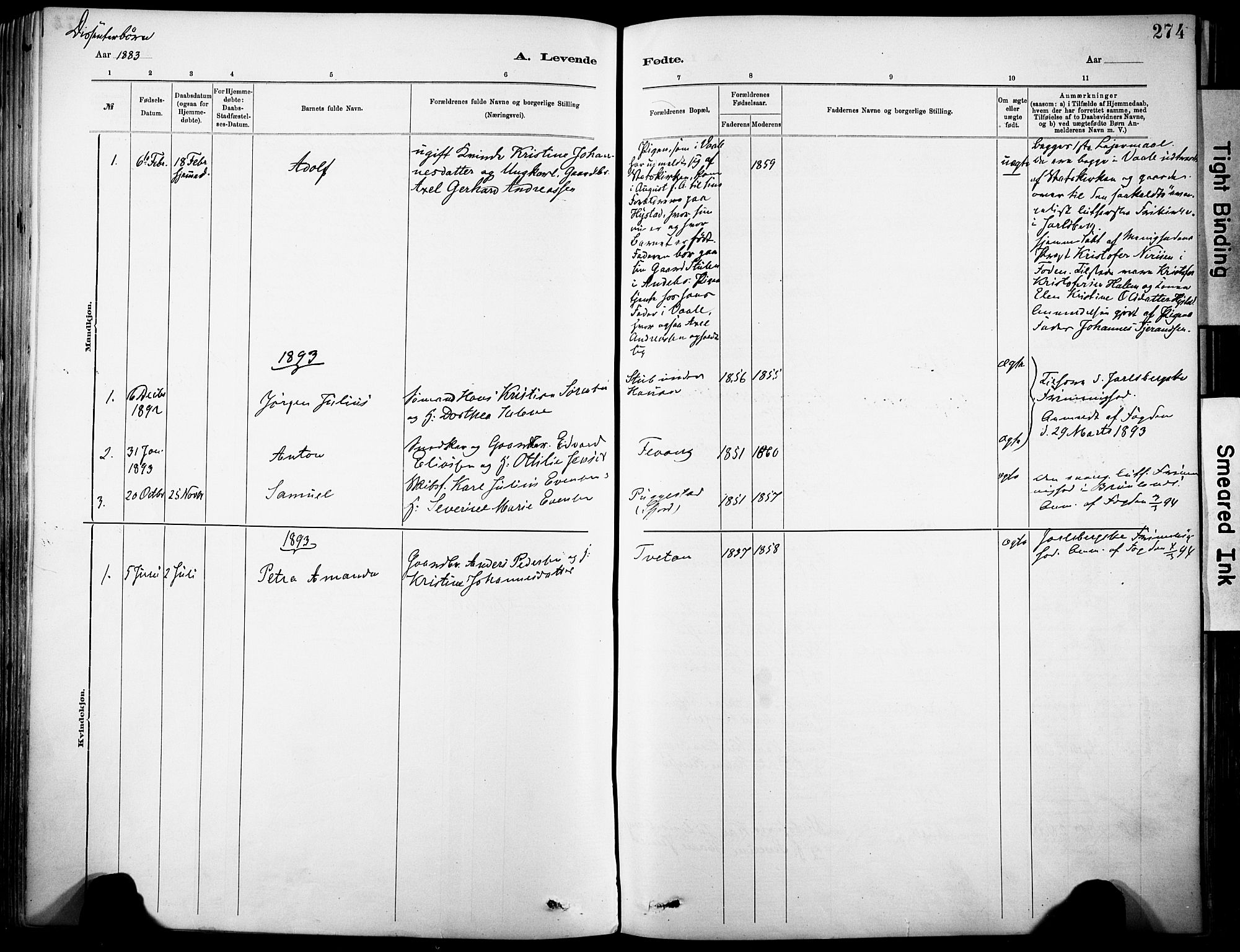 Sandar kirkebøker, SAKO/A-243/F/Fa/L0012: Parish register (official) no. 12, 1883-1895, p. 274