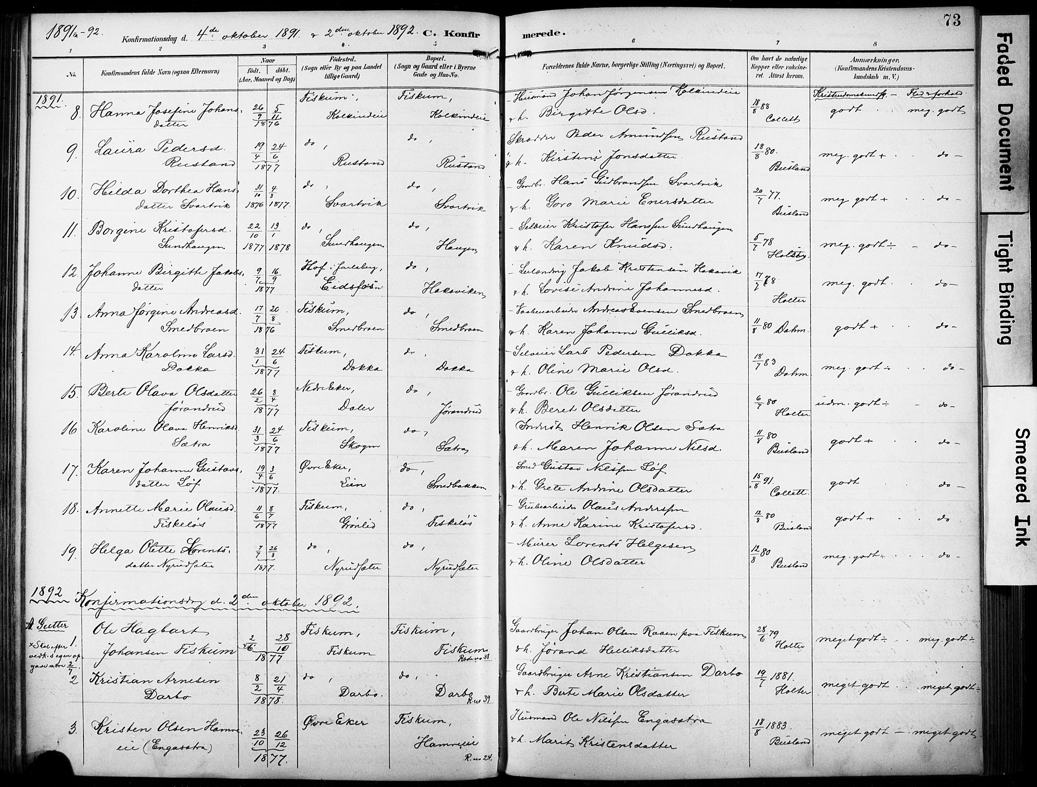 Fiskum kirkebøker, AV/SAKO-A-15/F/Fa/L0003: Parish register (official) no. 3, 1890-1905, p. 73