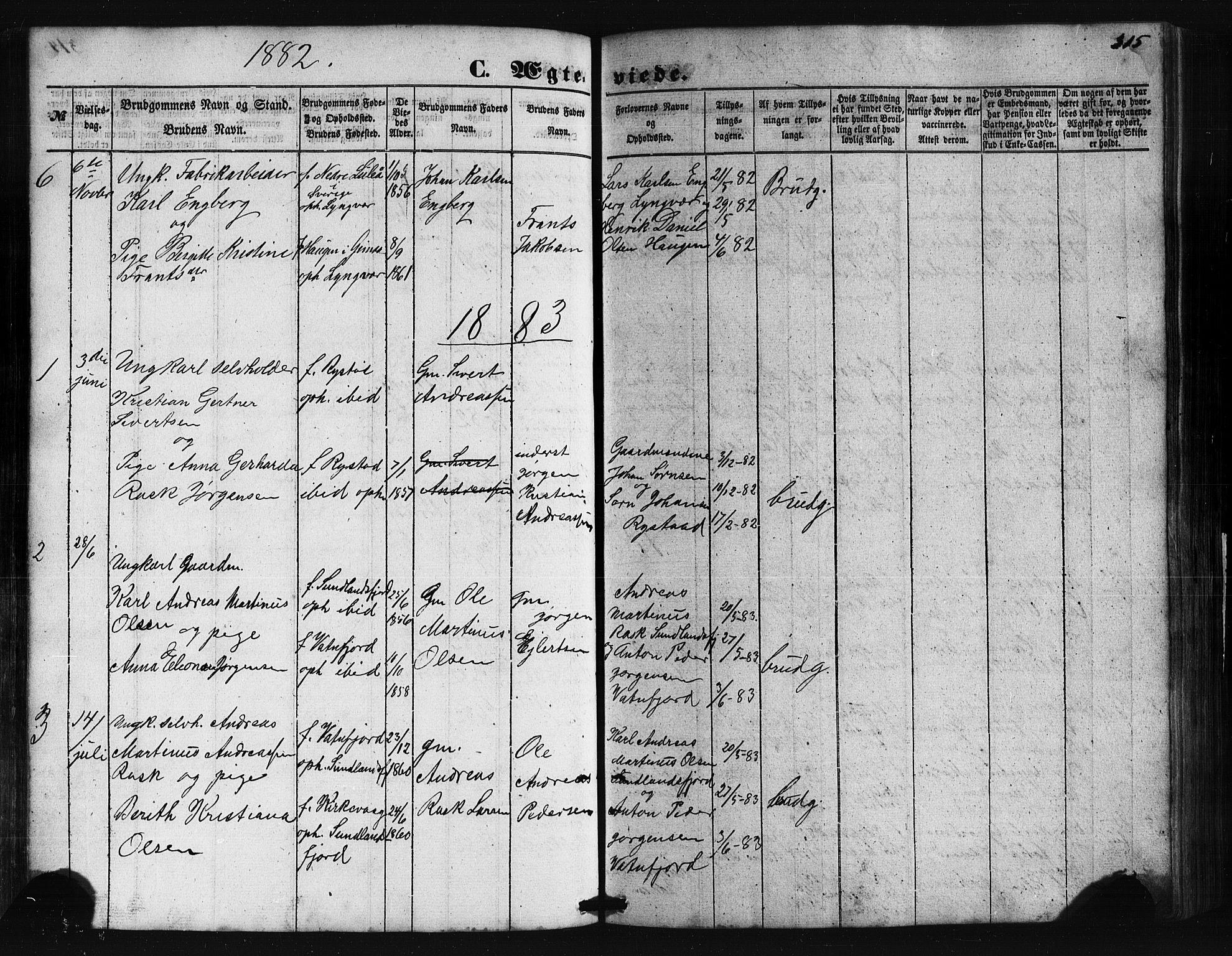 Ministerialprotokoller, klokkerbøker og fødselsregistre - Nordland, AV/SAT-A-1459/876/L1095: Parish register (official) no. 876A01, 1863-1885, p. 315