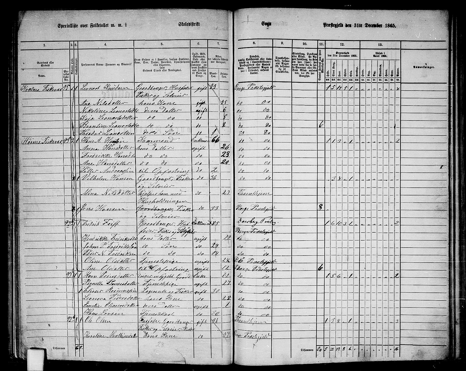 RA, 1865 census for Borge, 1865, p. 53