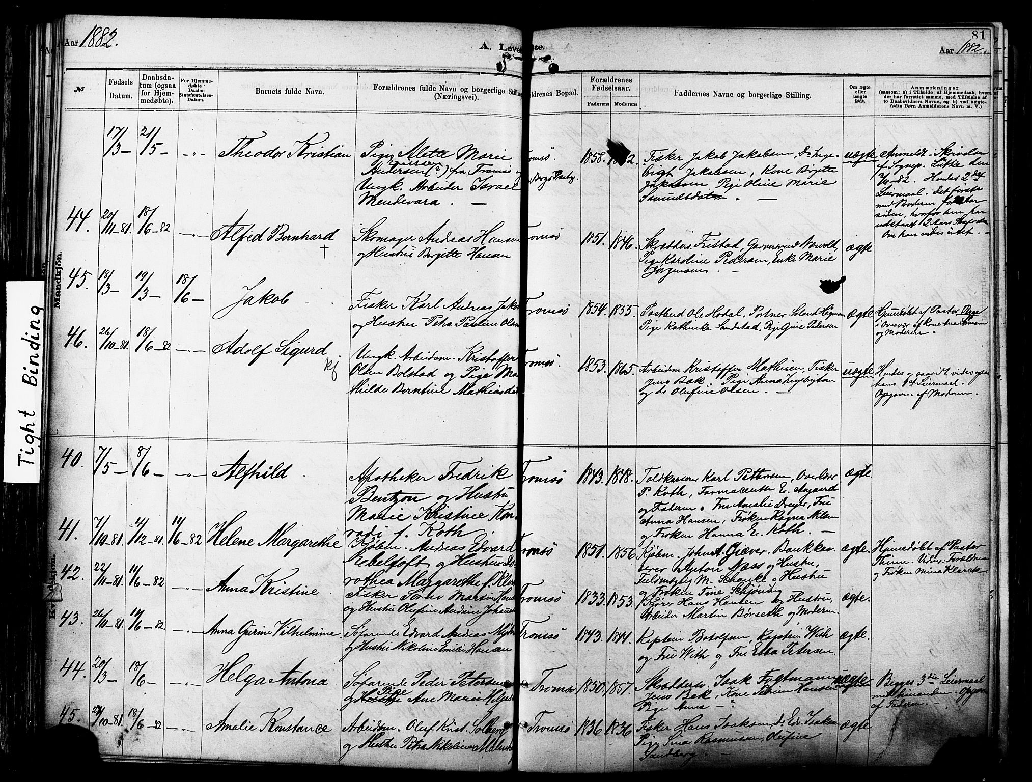 Tromsø sokneprestkontor/stiftsprosti/domprosti, AV/SATØ-S-1343/G/Ga/L0014kirke: Parish register (official) no. 14, 1878-1888, p. 81