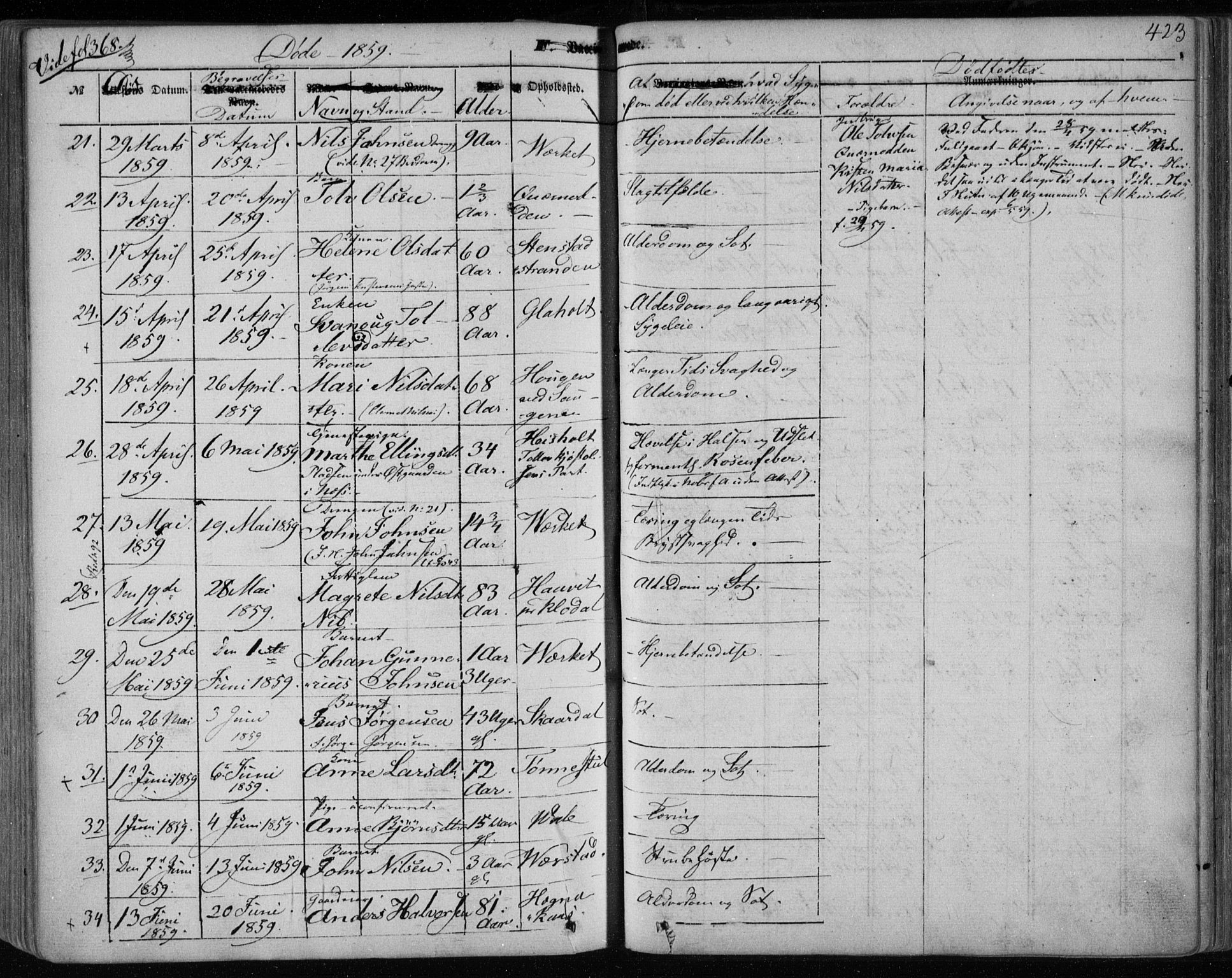 Holla kirkebøker, SAKO/A-272/F/Fa/L0005: Parish register (official) no. 5, 1849-1860, p. 423