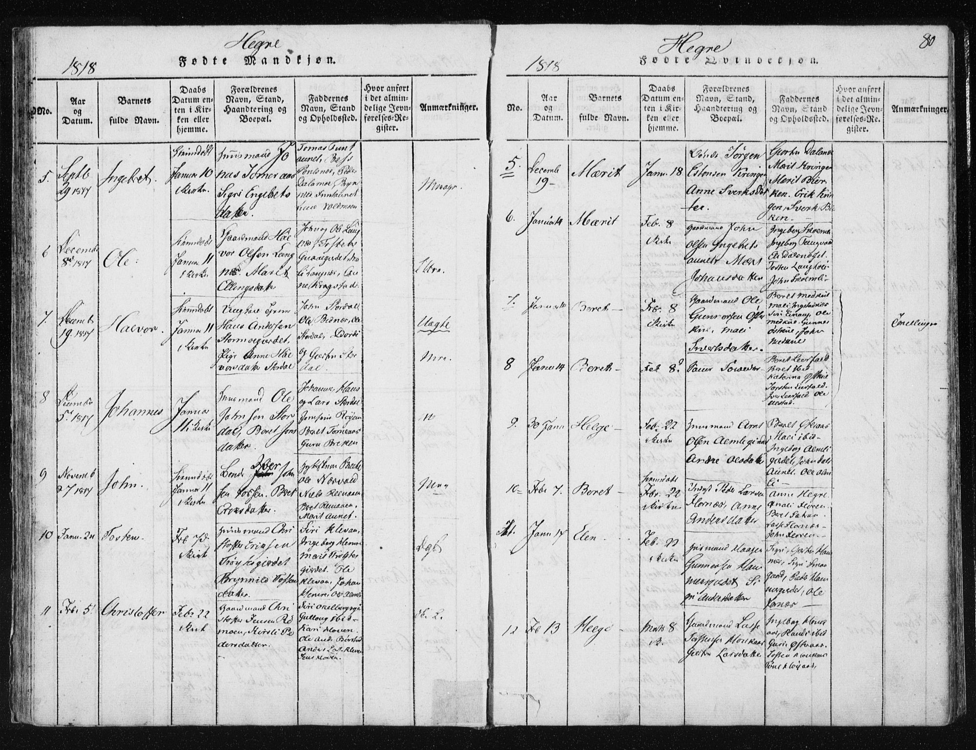 Ministerialprotokoller, klokkerbøker og fødselsregistre - Nord-Trøndelag, AV/SAT-A-1458/709/L0061: Parish register (official) no. 709A08 /4, 1815-1819, p. 80