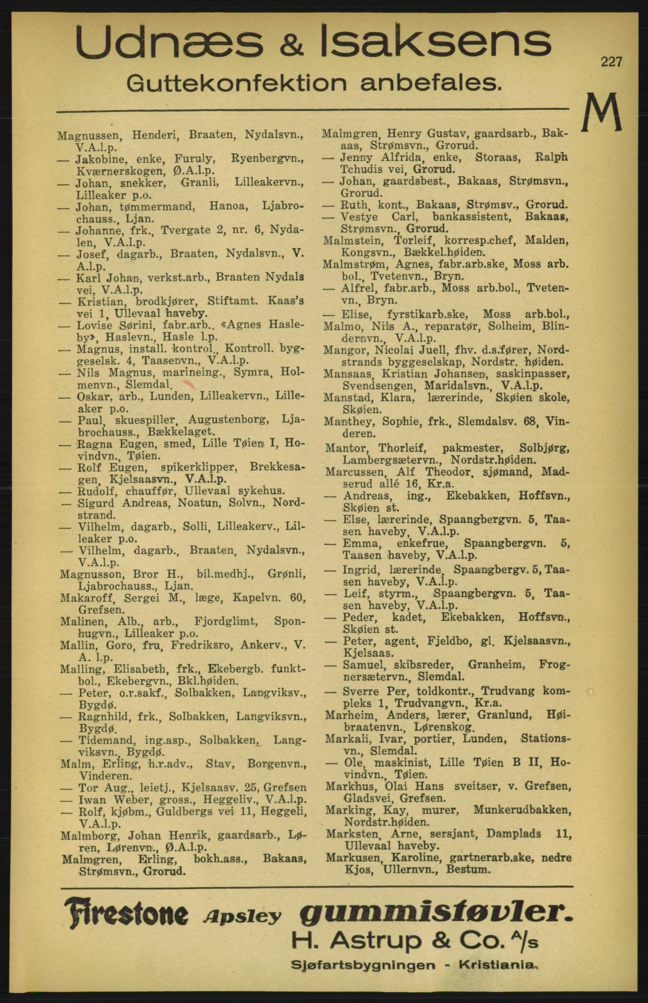 Aker adressebok/adressekalender, PUBL/001/A/003: Akers adressekalender, 1924-1925, p. 227