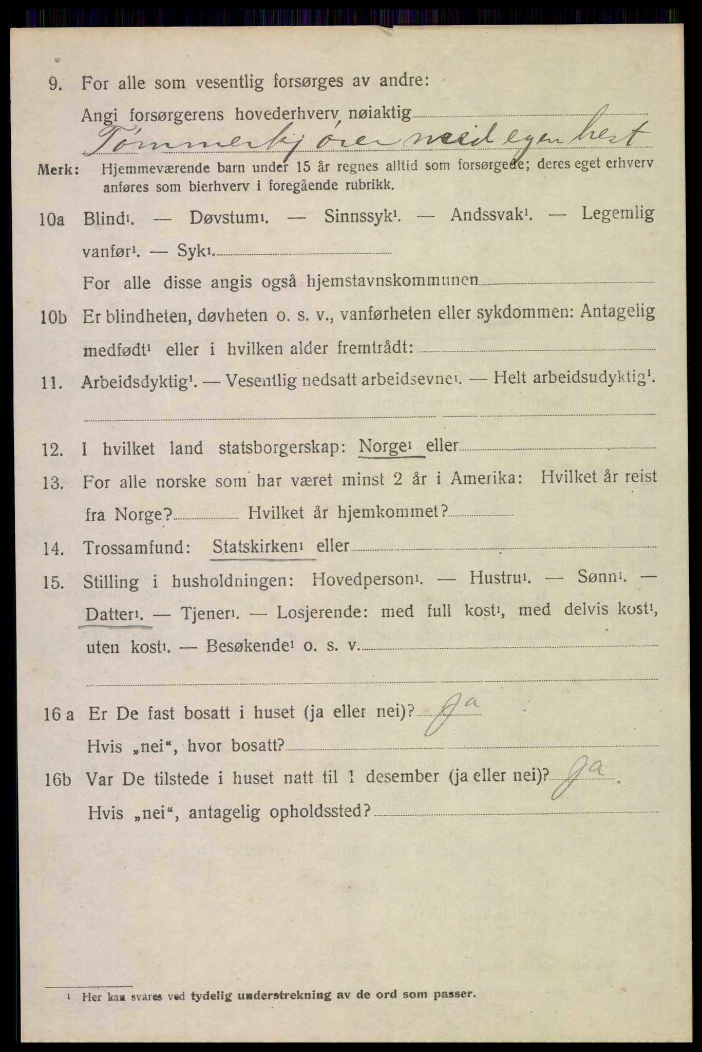 SAH, 1920 census for Trysil, 1920, p. 14536