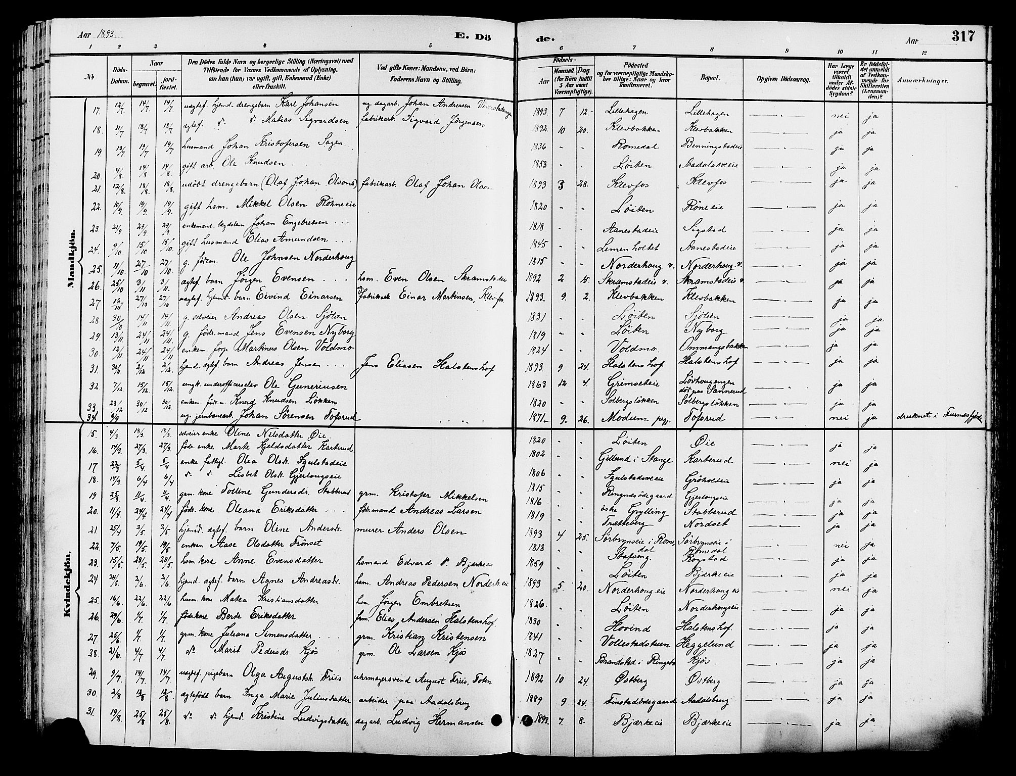 Løten prestekontor, AV/SAH-PREST-022/L/La/L0006: Parish register (copy) no. 6, 1892-1909, p. 317