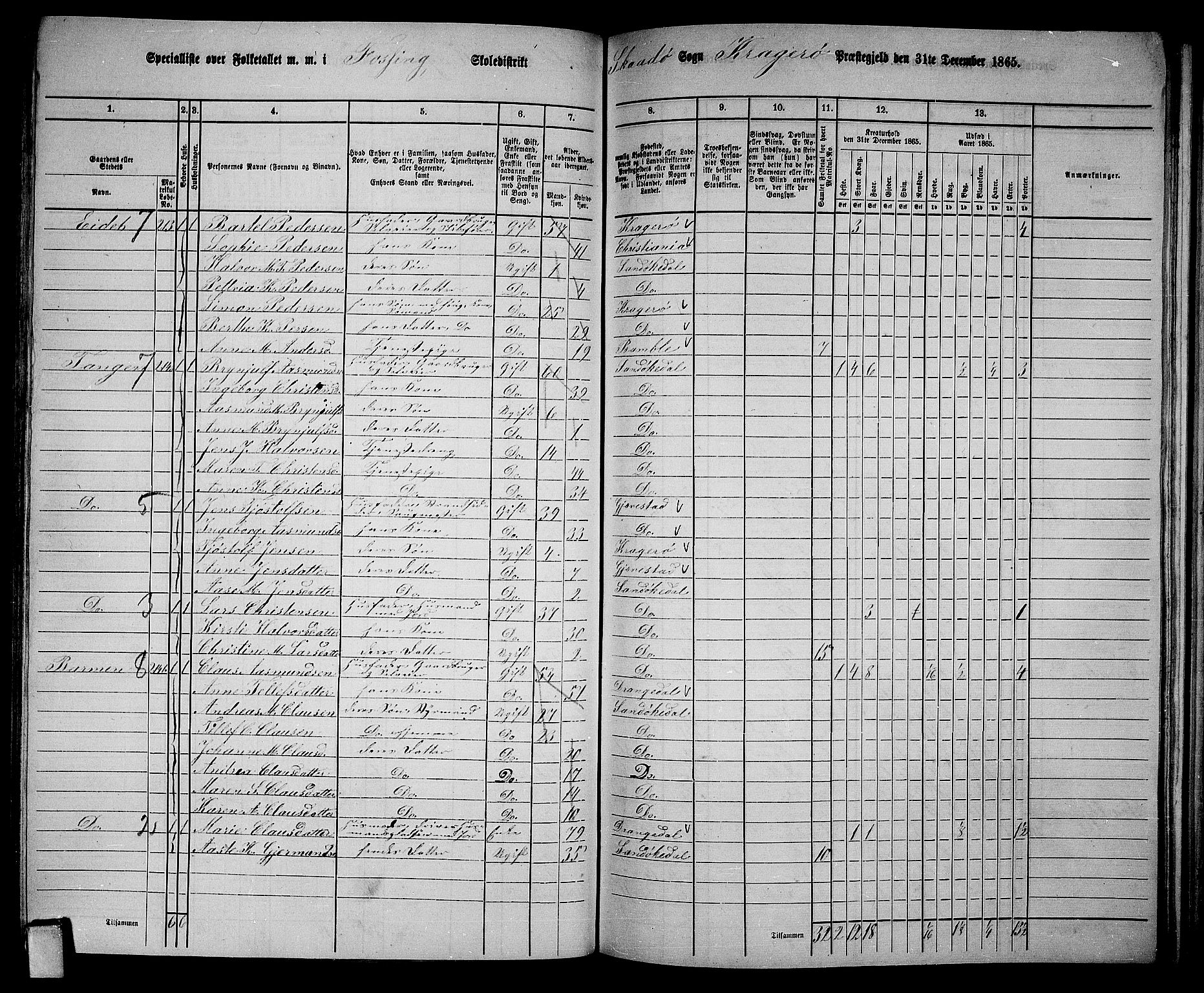 RA, 1865 census for Kragerø/Sannidal og Skåtøy, 1865, p. 160