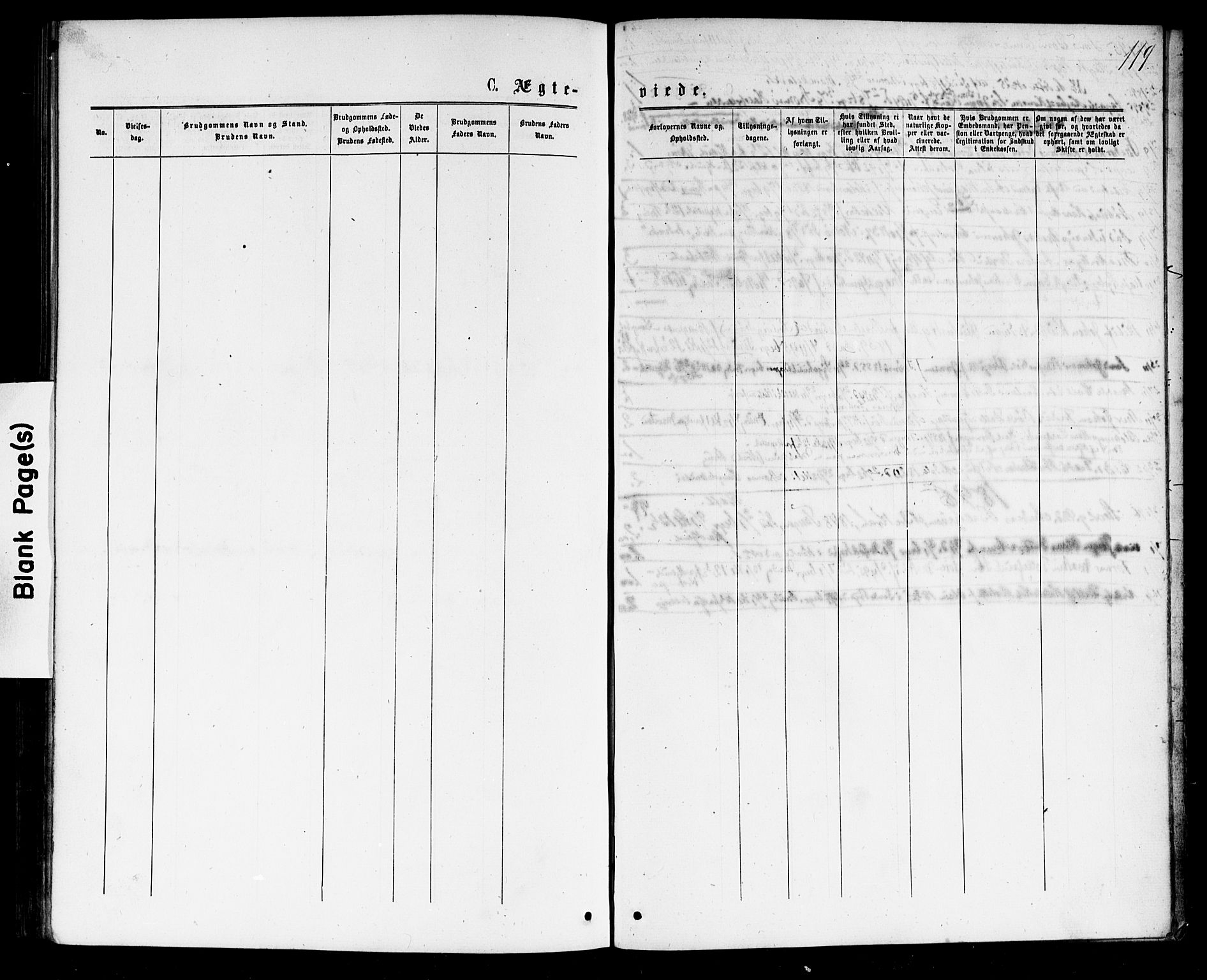 Strømsø kirkebøker, AV/SAKO-A-246/G/Ga/L0002: Parish register (copy) no. 2, 1877-1896, p. 119