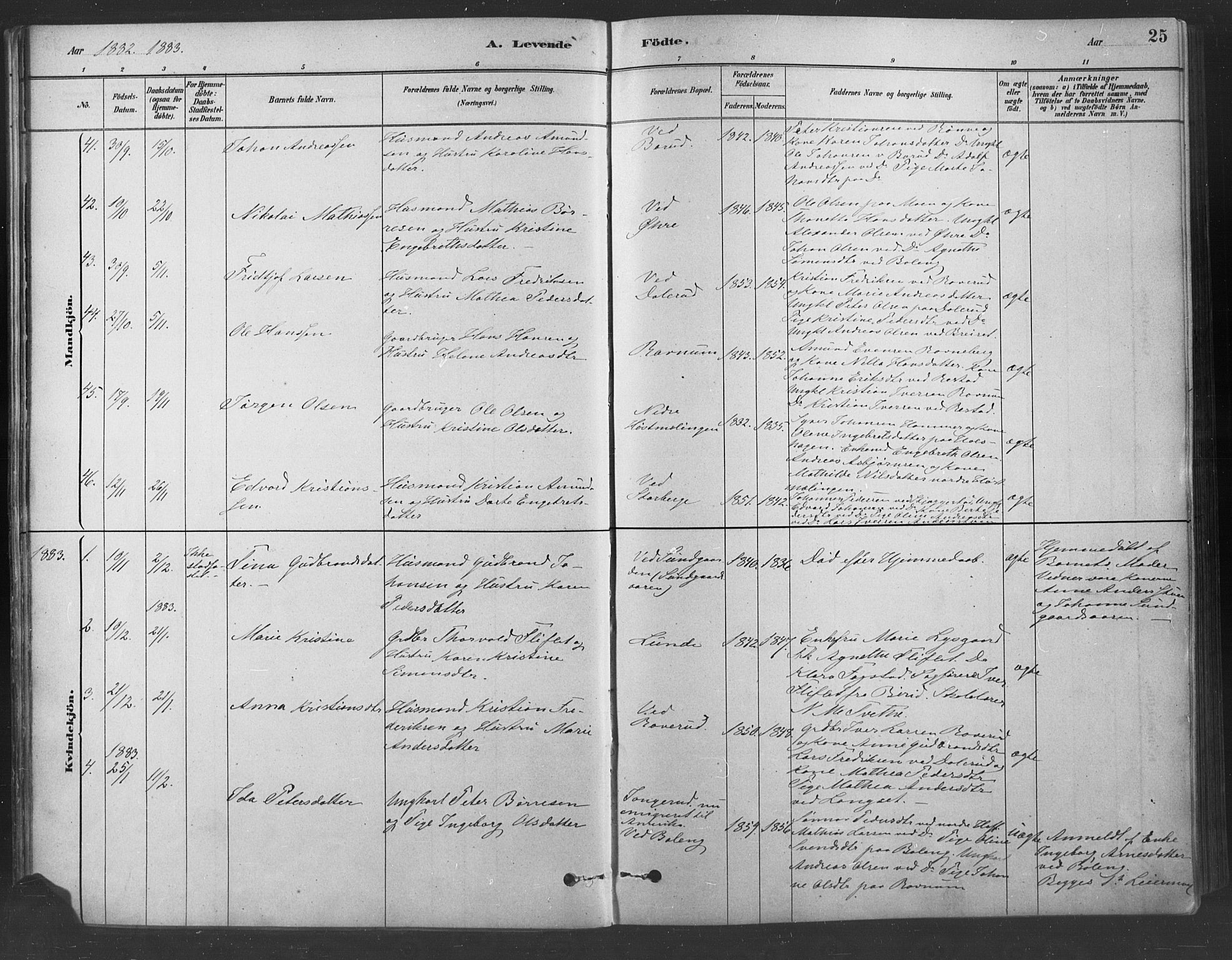 Fåberg prestekontor, SAH/PREST-086/H/Ha/Haa/L0009: Parish register (official) no. 9, 1879-1898, p. 25