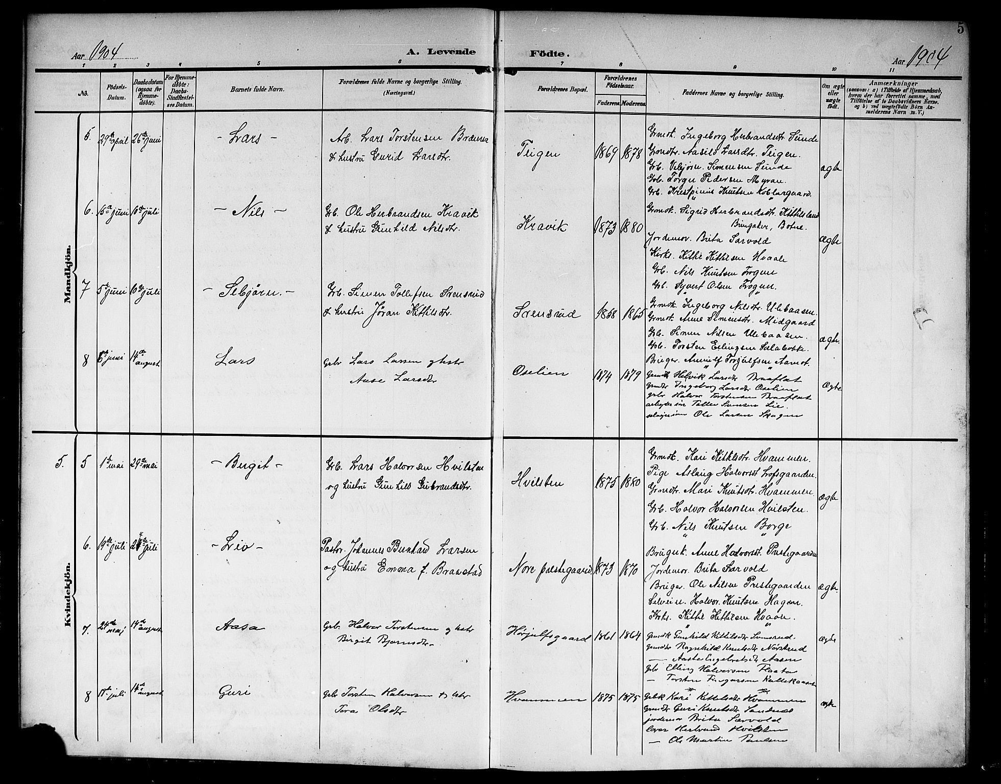 Nore kirkebøker, AV/SAKO-A-238/G/Ga/L0004: Parish register (copy) no. I 4, 1904-1919, p. 5