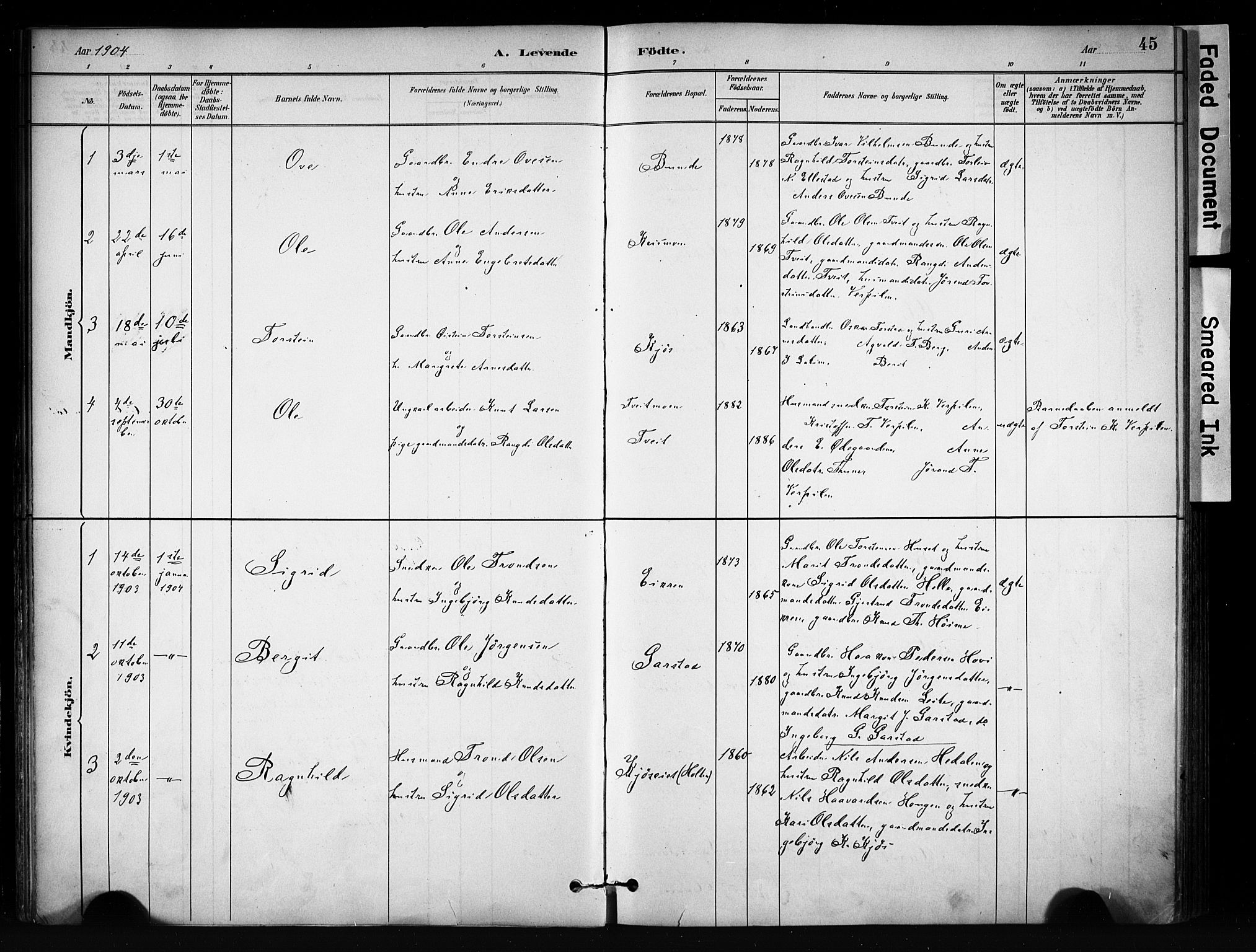 Vang prestekontor, Valdres, SAH/PREST-140/H/Ha/L0009: Parish register (official) no. 9, 1882-1914, p. 45