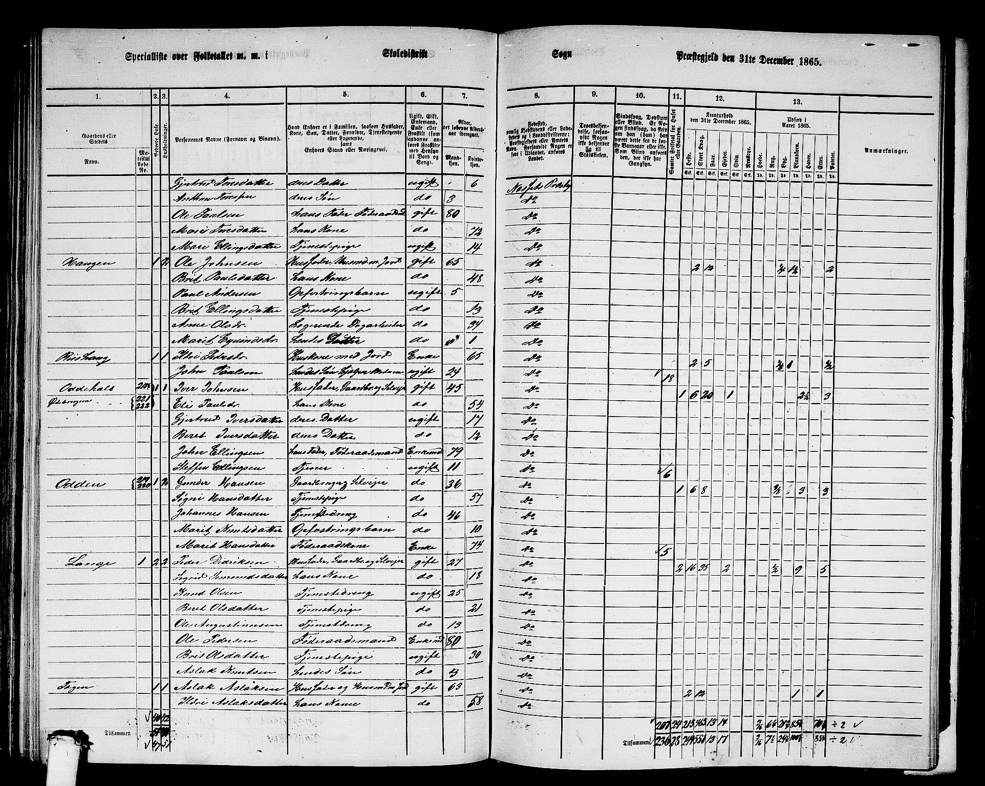 RA, 1865 census for Nesset, 1865, p. 141