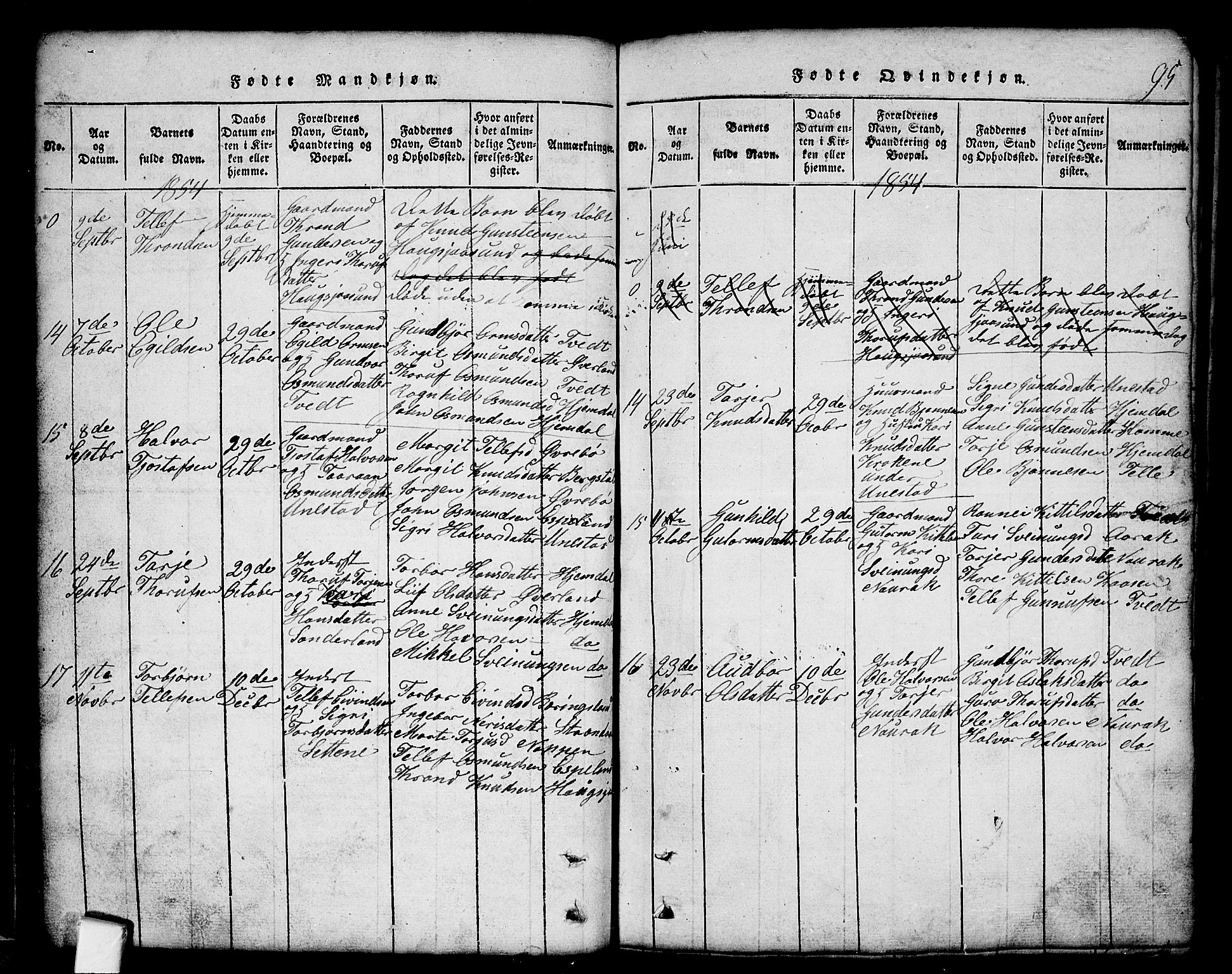 Nissedal kirkebøker, SAKO/A-288/G/Gb/L0001: Parish register (copy) no. II 1, 1814-1862, p. 95