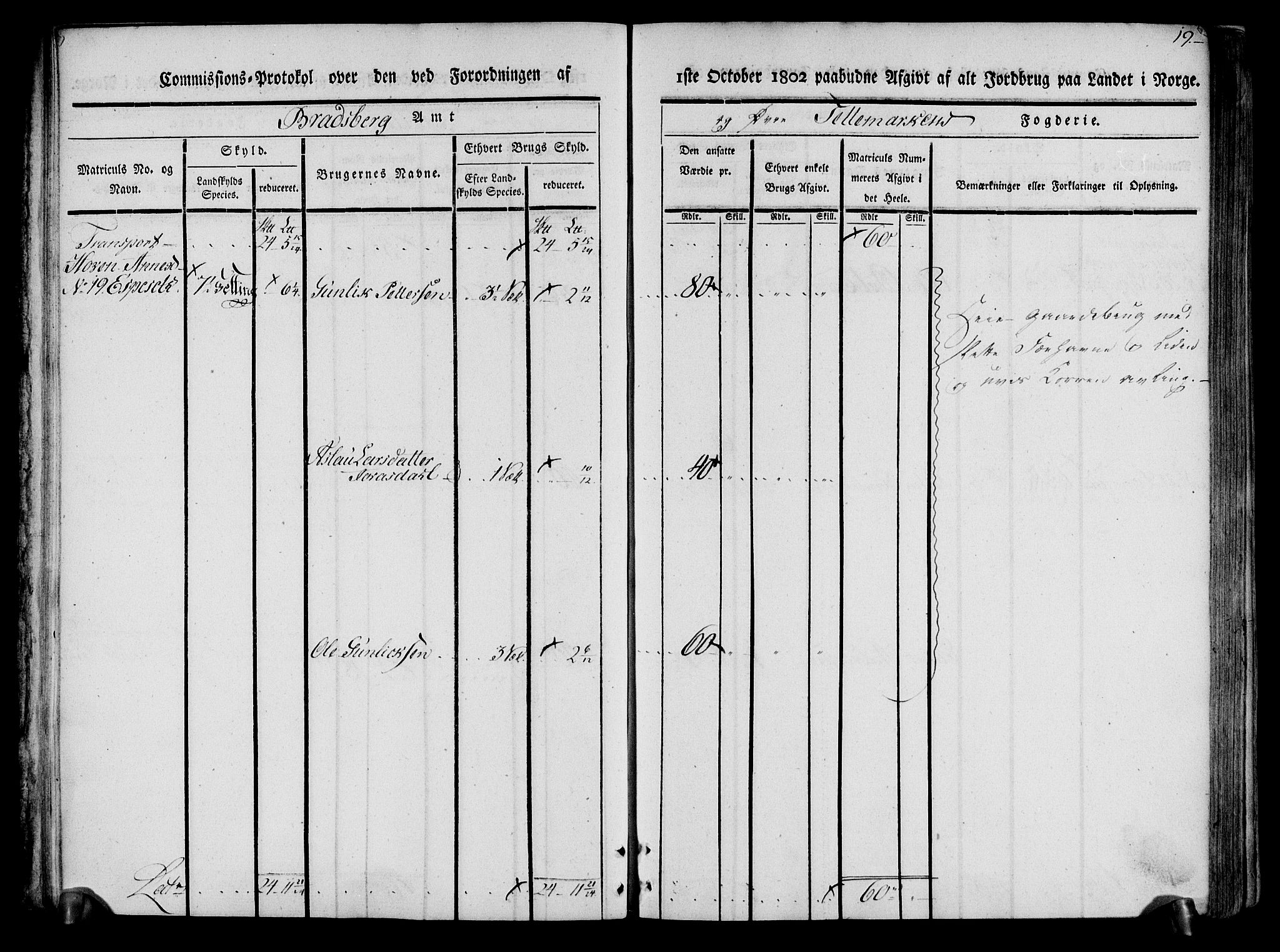 Rentekammeret inntil 1814, Realistisk ordnet avdeling, AV/RA-EA-4070/N/Ne/Nea/L0074: Øvre Telemarken fogderi. Kommisjonsprotokoll for fogderiets østre del - Tinn, Hjartdal og Seljord prestegjeld., 1803, p. 19