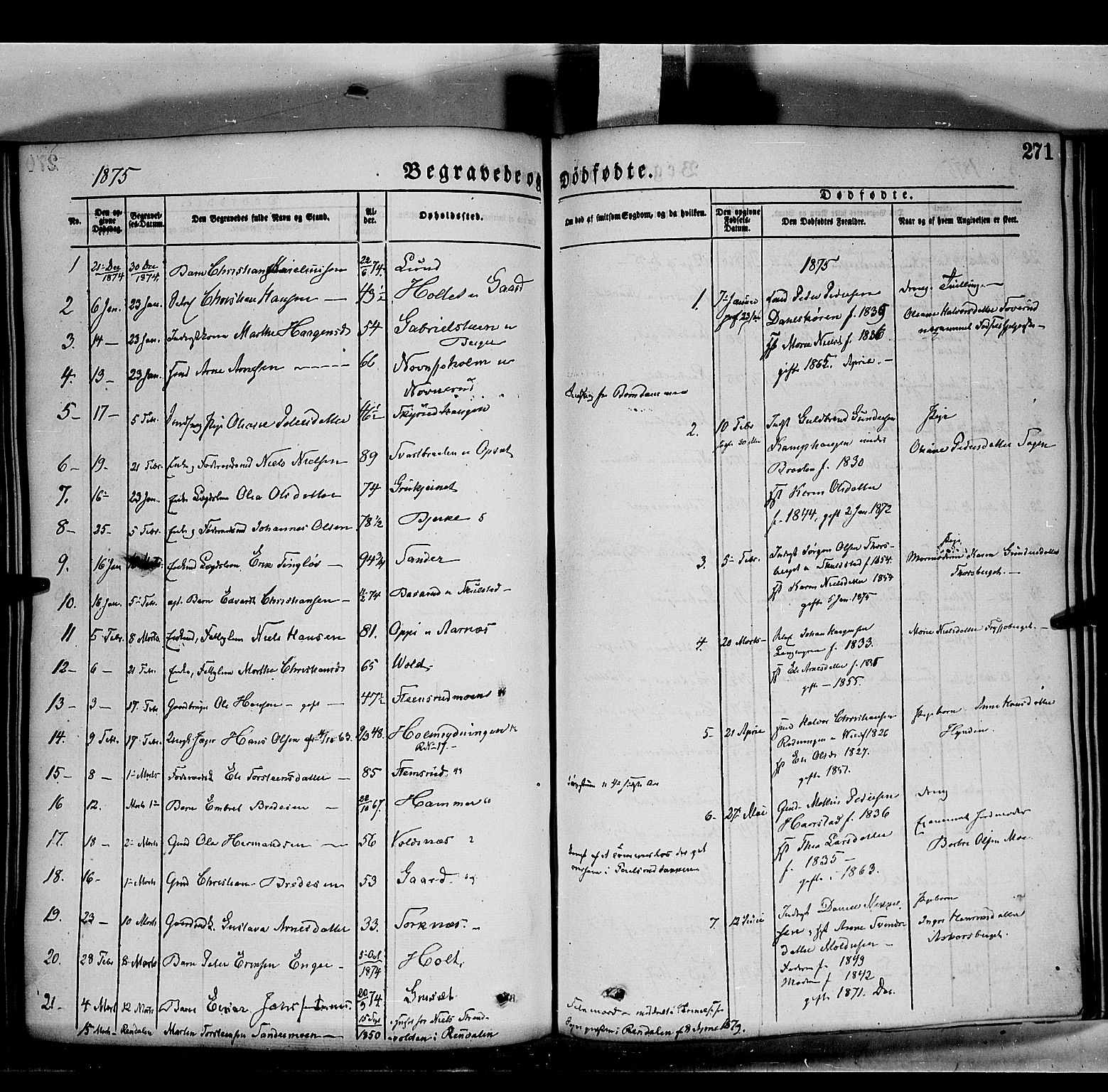 Grue prestekontor, SAH/PREST-036/H/Ha/Haa/L0011: Parish register (official) no. 11, 1873-1880, p. 271