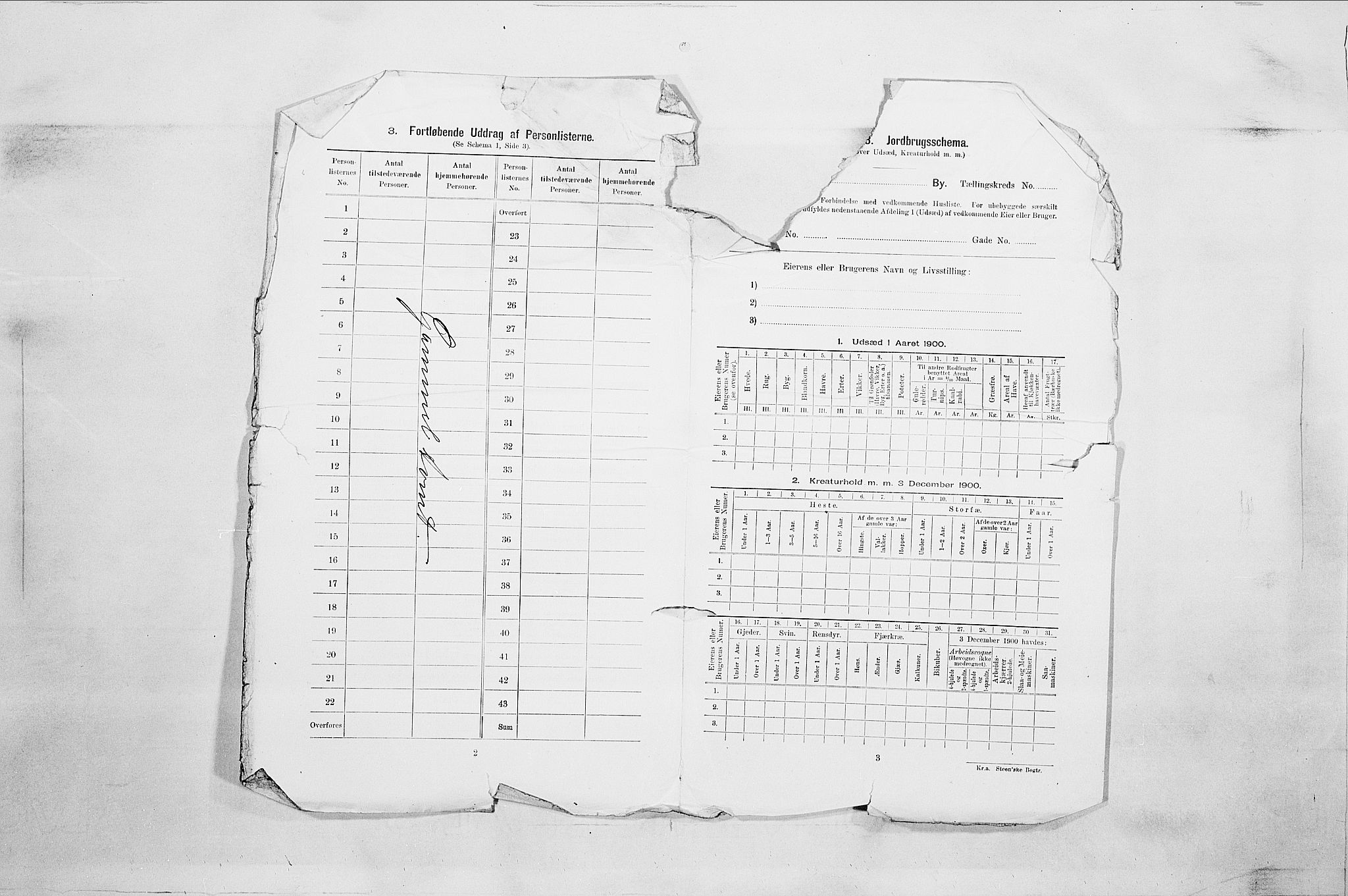 SAO, 1900 census for Fredrikstad, 1900