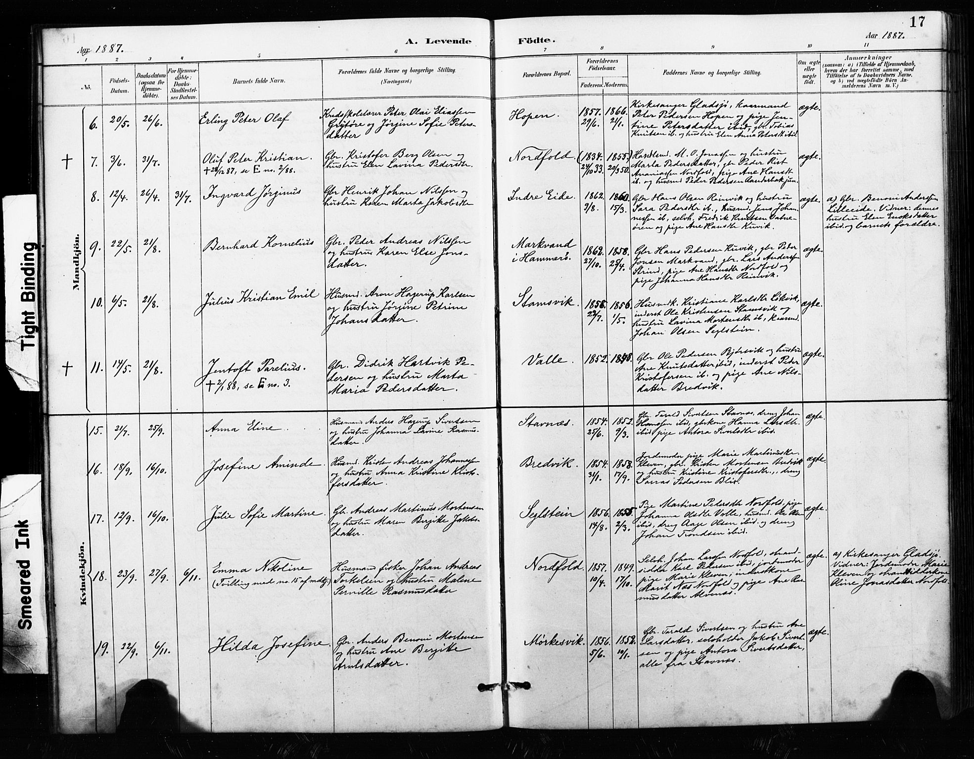 Ministerialprotokoller, klokkerbøker og fødselsregistre - Nordland, AV/SAT-A-1459/858/L0834: Parish register (copy) no. 858C01, 1884-1904, p. 17