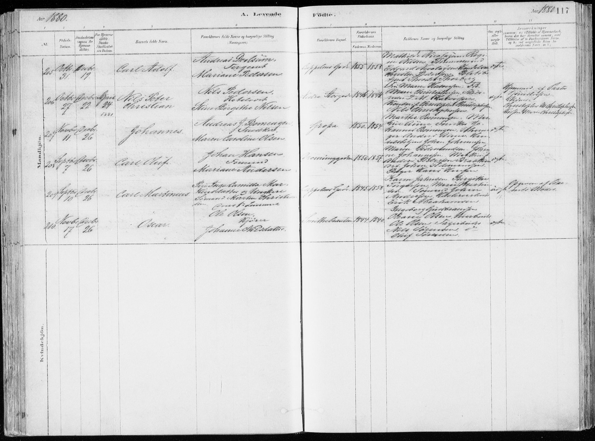 Bragernes kirkebøker, SAKO/A-6/F/Fb/L0006a: Parish register (official) no. II 6A, 1878-1885, p. 117