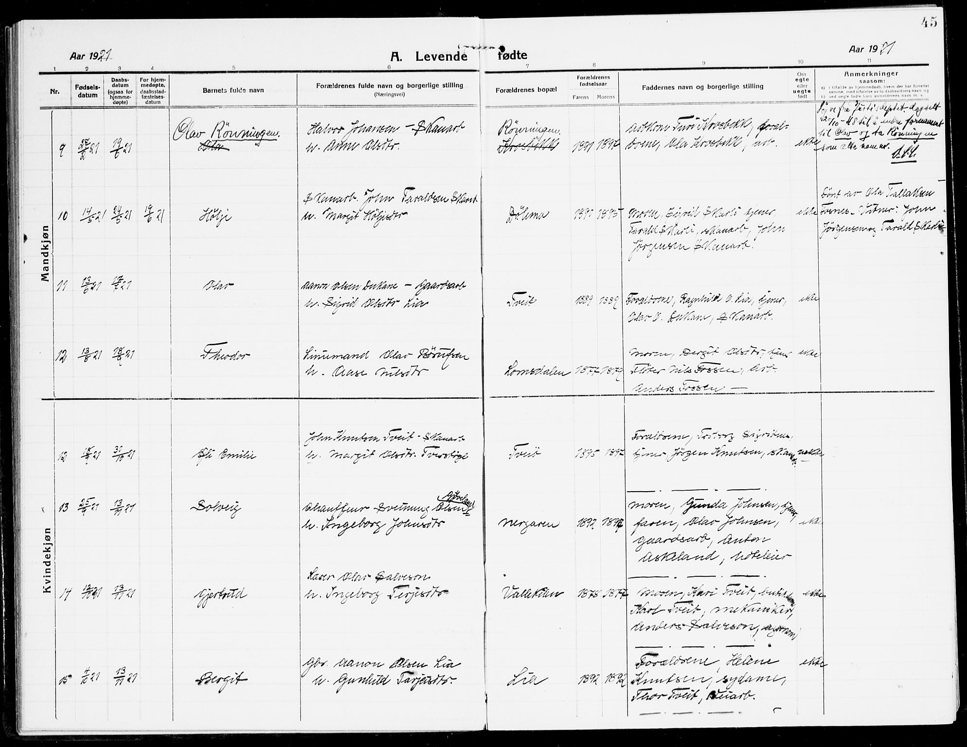 Åmli sokneprestkontor, AV/SAK-1111-0050/F/Fa/Fac/L0013: Parish register (official) no. A 13, 1914-1933, p. 45