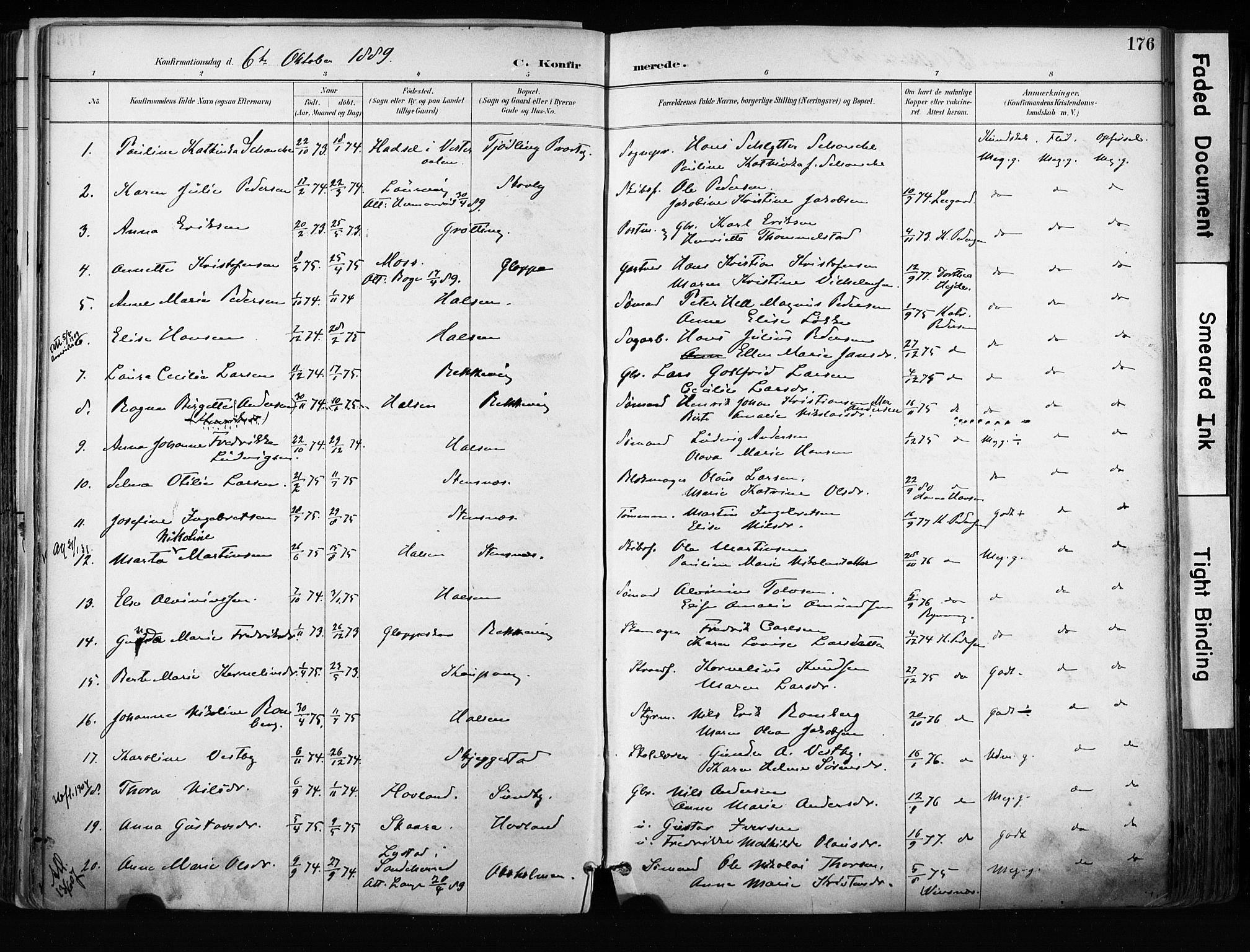 Tjølling kirkebøker, AV/SAKO-A-60/F/Fa/L0009: Parish register (official) no. 9, 1887-1905, p. 176