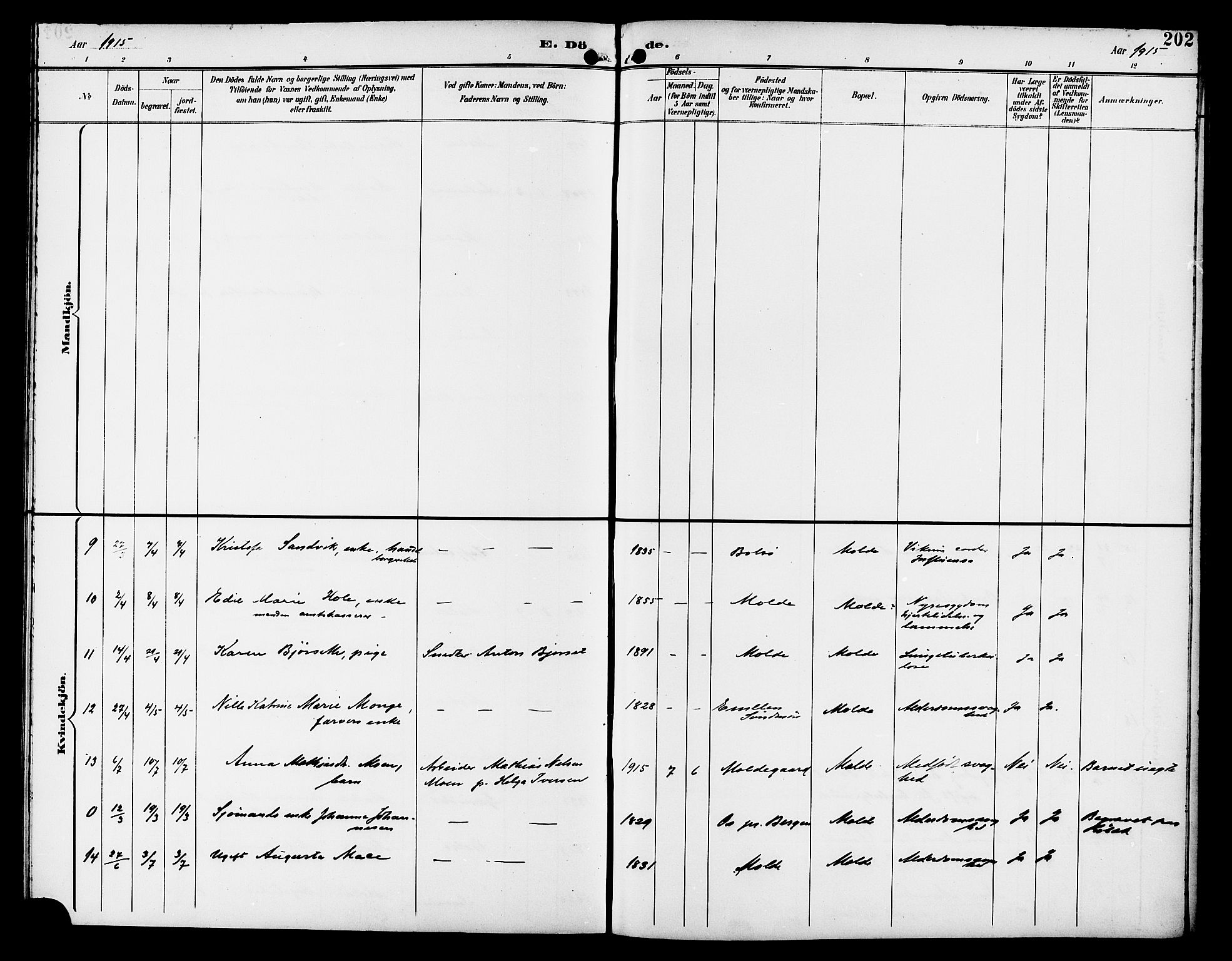 Ministerialprotokoller, klokkerbøker og fødselsregistre - Møre og Romsdal, AV/SAT-A-1454/558/L0702: Parish register (copy) no. 558C03, 1894-1915, p. 202