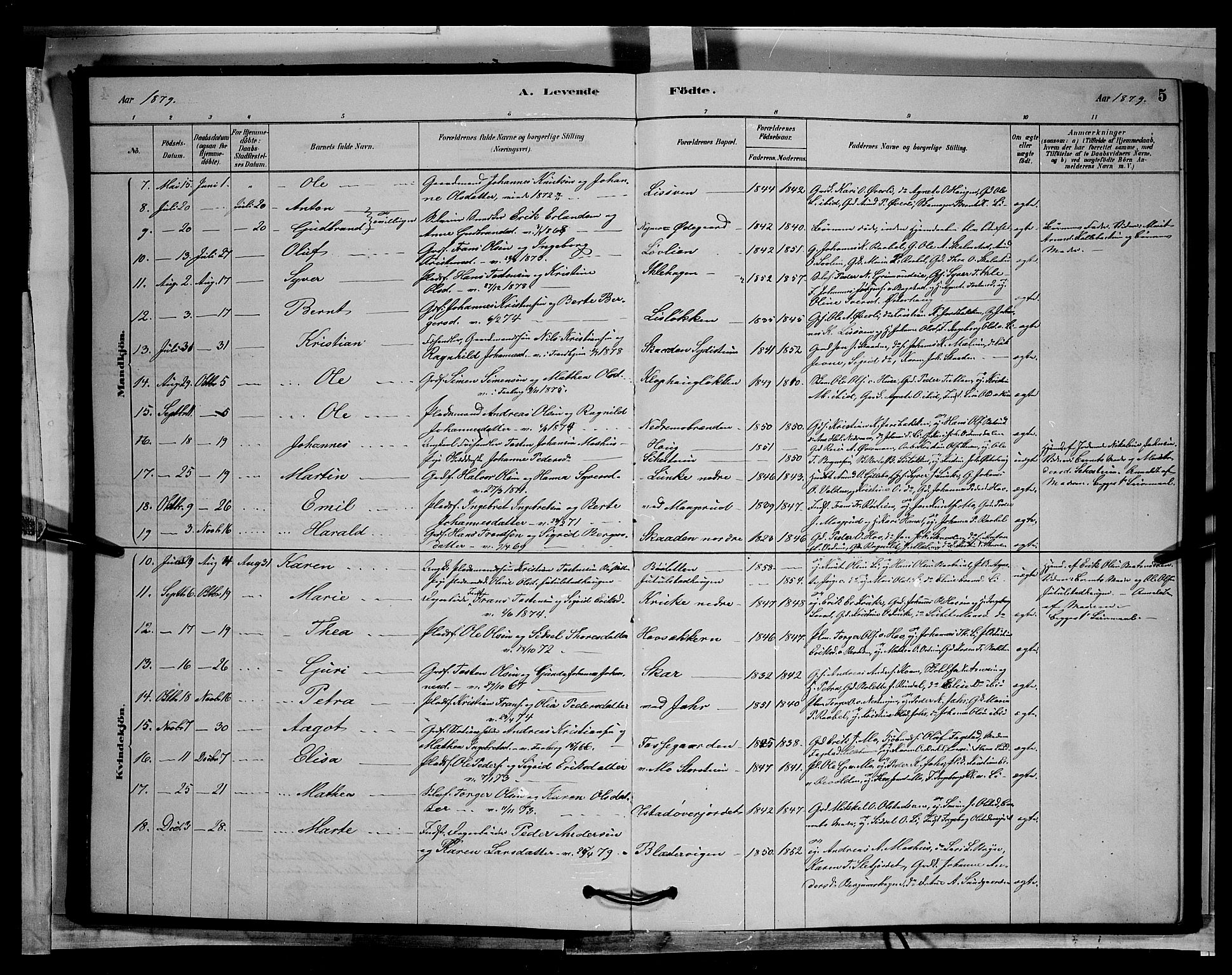 Øyer prestekontor, SAH/PREST-084/H/Ha/Hab/L0002: Parish register (copy) no. 2, 1878-1896, p. 5