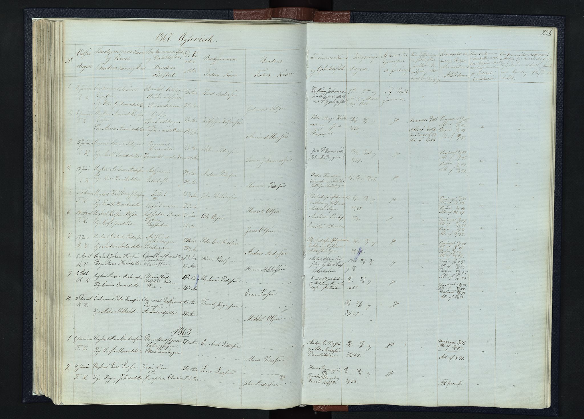 Romedal prestekontor, SAH/PREST-004/L/L0010: Parish register (copy) no. 10, 1860-1895, p. 221