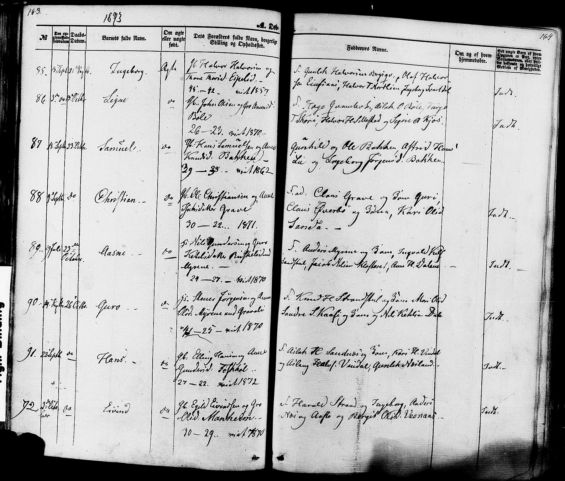 Seljord kirkebøker, AV/SAKO-A-20/F/Fa/L0013: Parish register (official) no. I 13, 1866-1876, p. 163-164